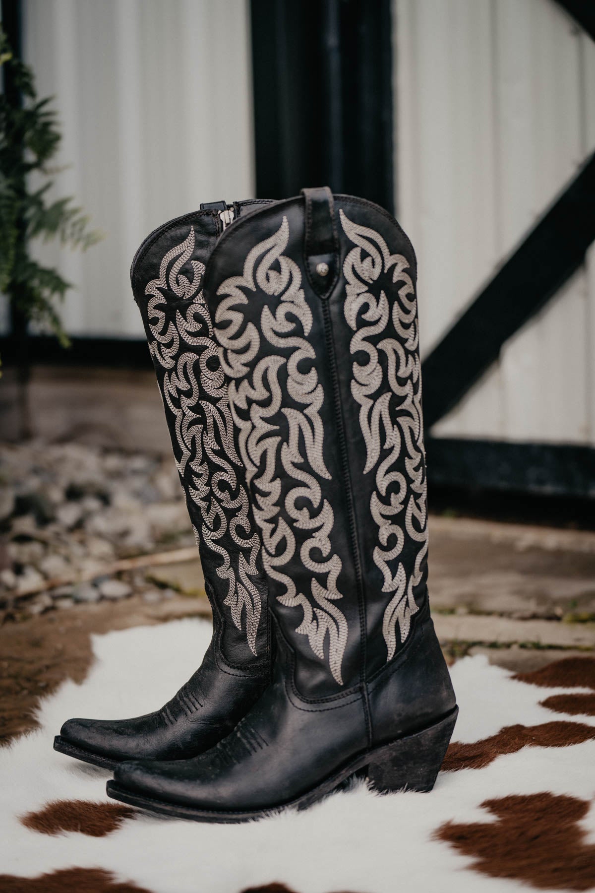 "Allie" Tall BLACK Leather Boots by Liberty Black {B & C Calf Widths}