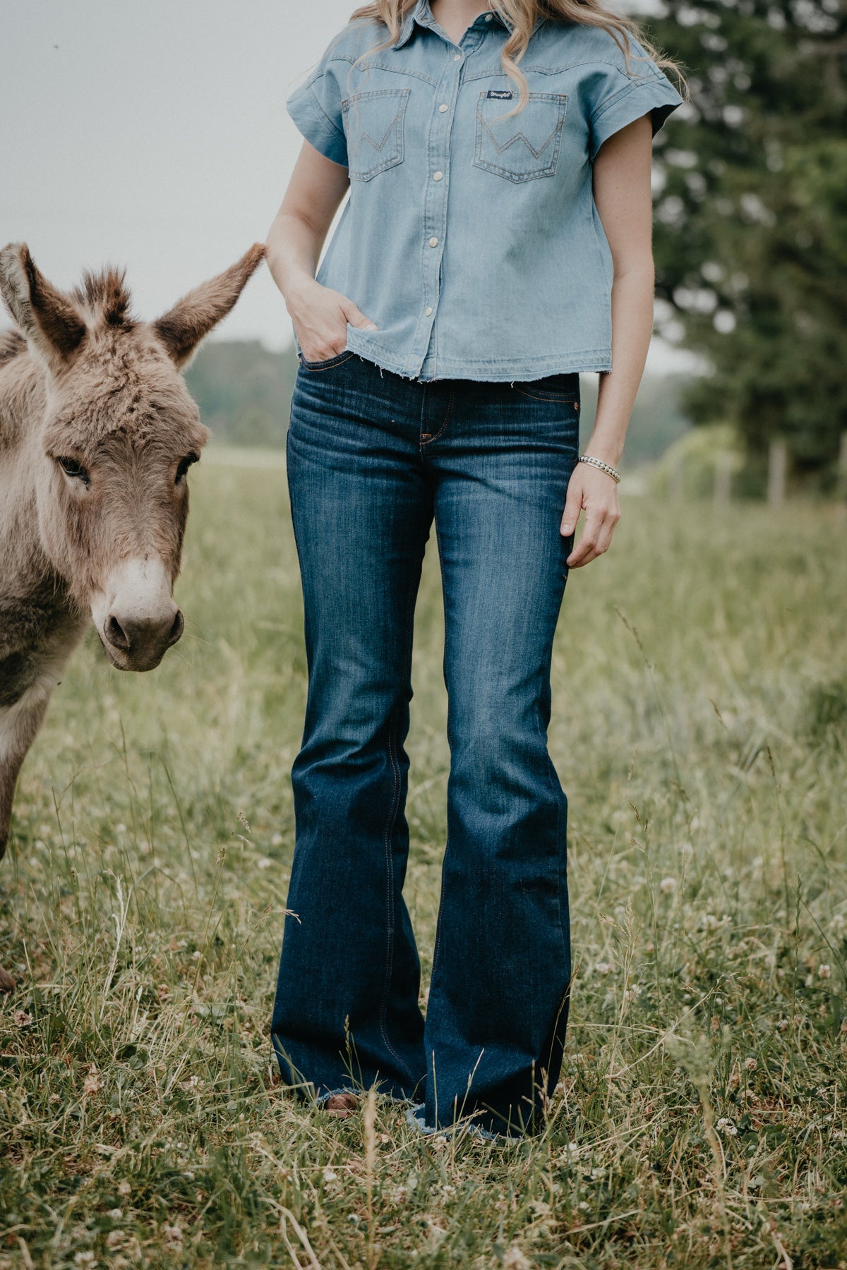 'Yrises' Perfect Rise Raw Hem Flare Jean by Ariat