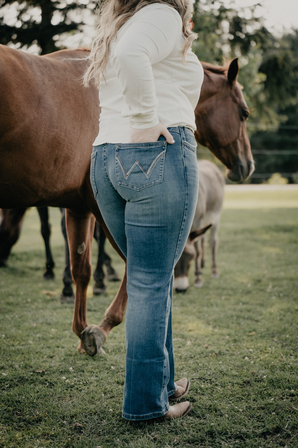 'Sally' Mid Rise Q-Baby Bootcut Jean by Wrangler