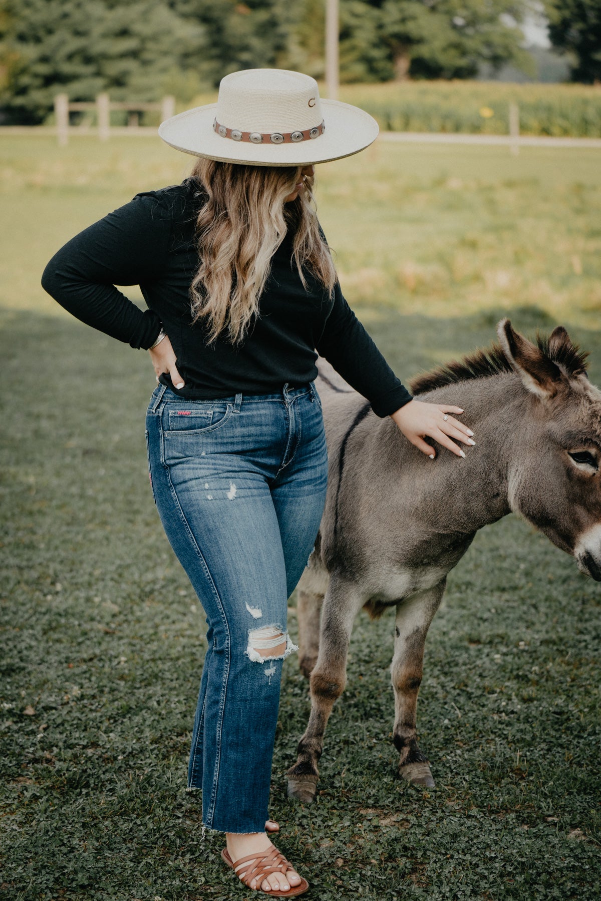 'Athena' High Rise Kick Flare Jean by Ariat (Sizes 24-34)