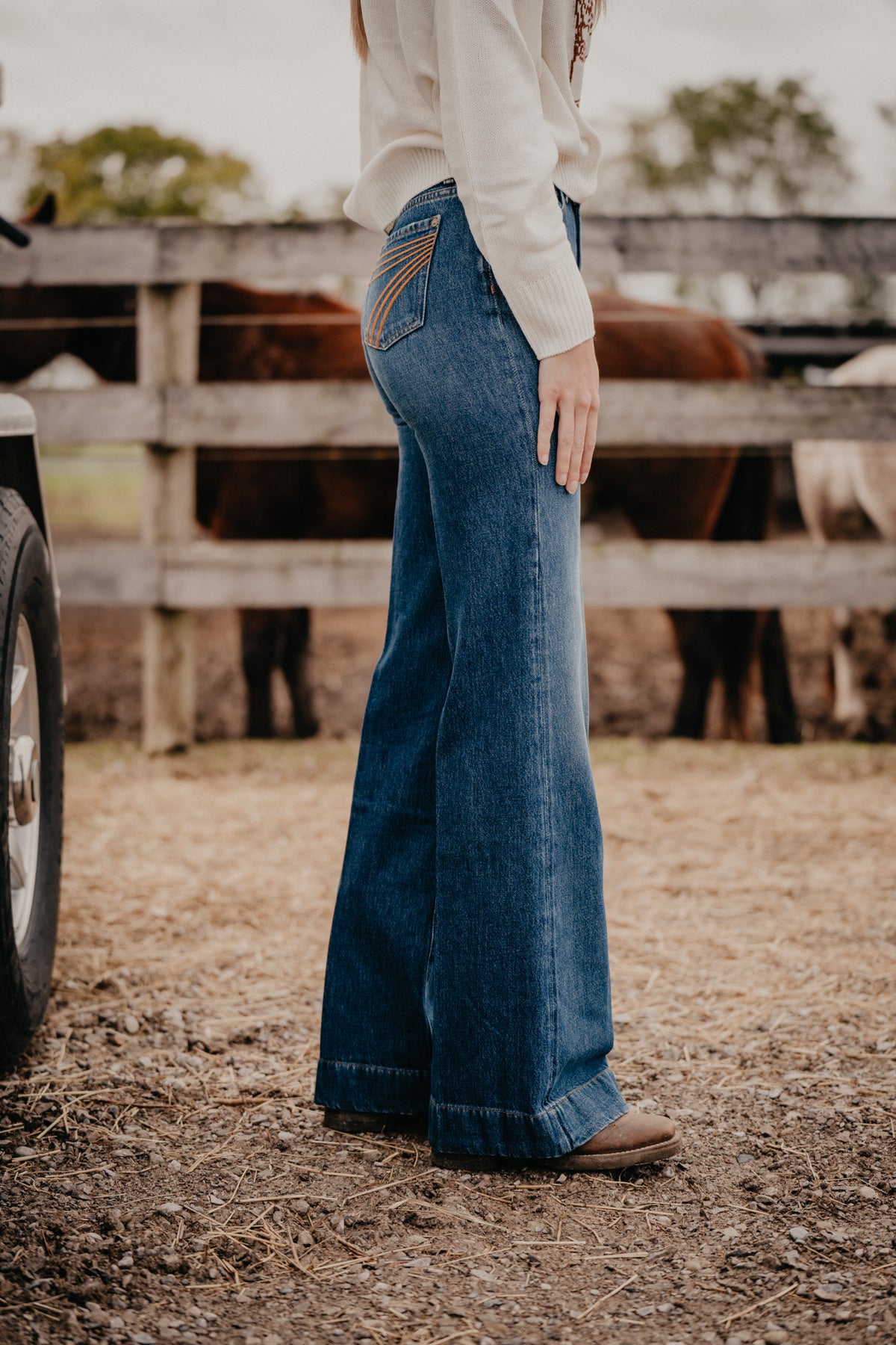 'Secretariat' Modern Dojo Trouser by 7 For All Mankind (35" Inseam) {32,33,34}