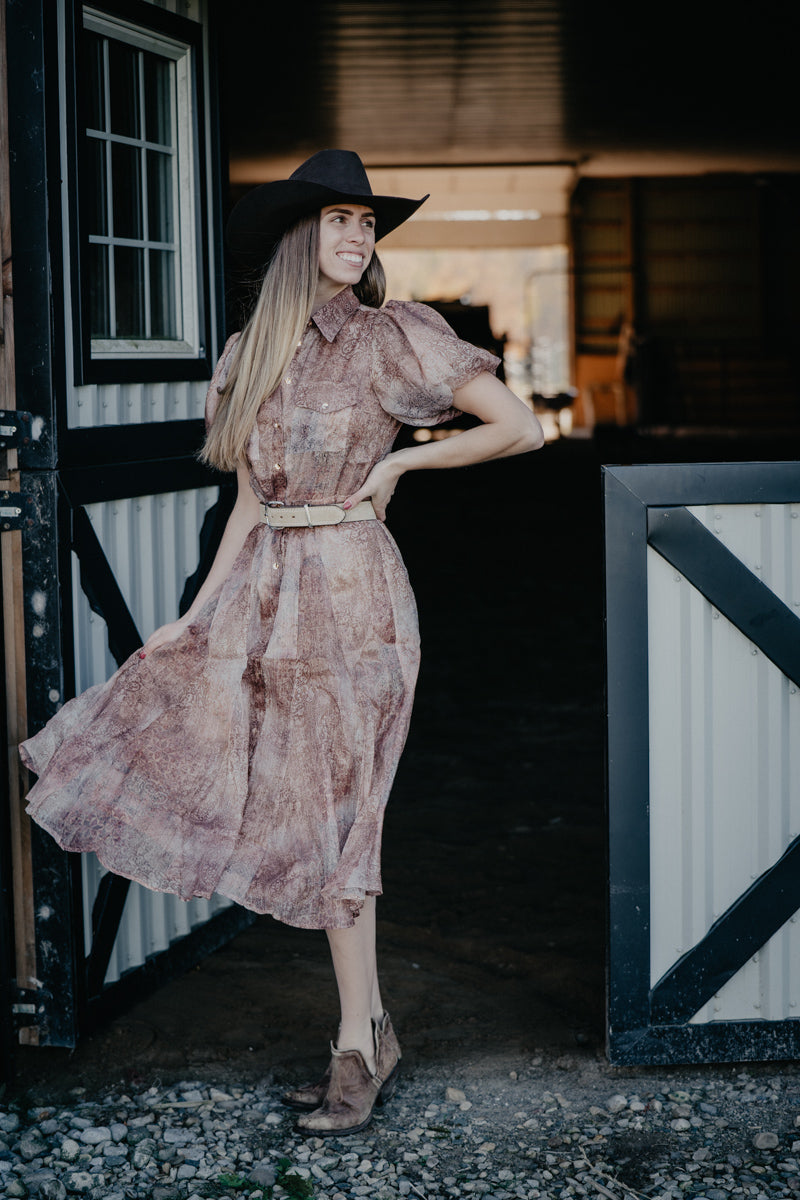 'Fannie' Metallic Paisley Print Bubble Sleeve Midi Dress (S-L)