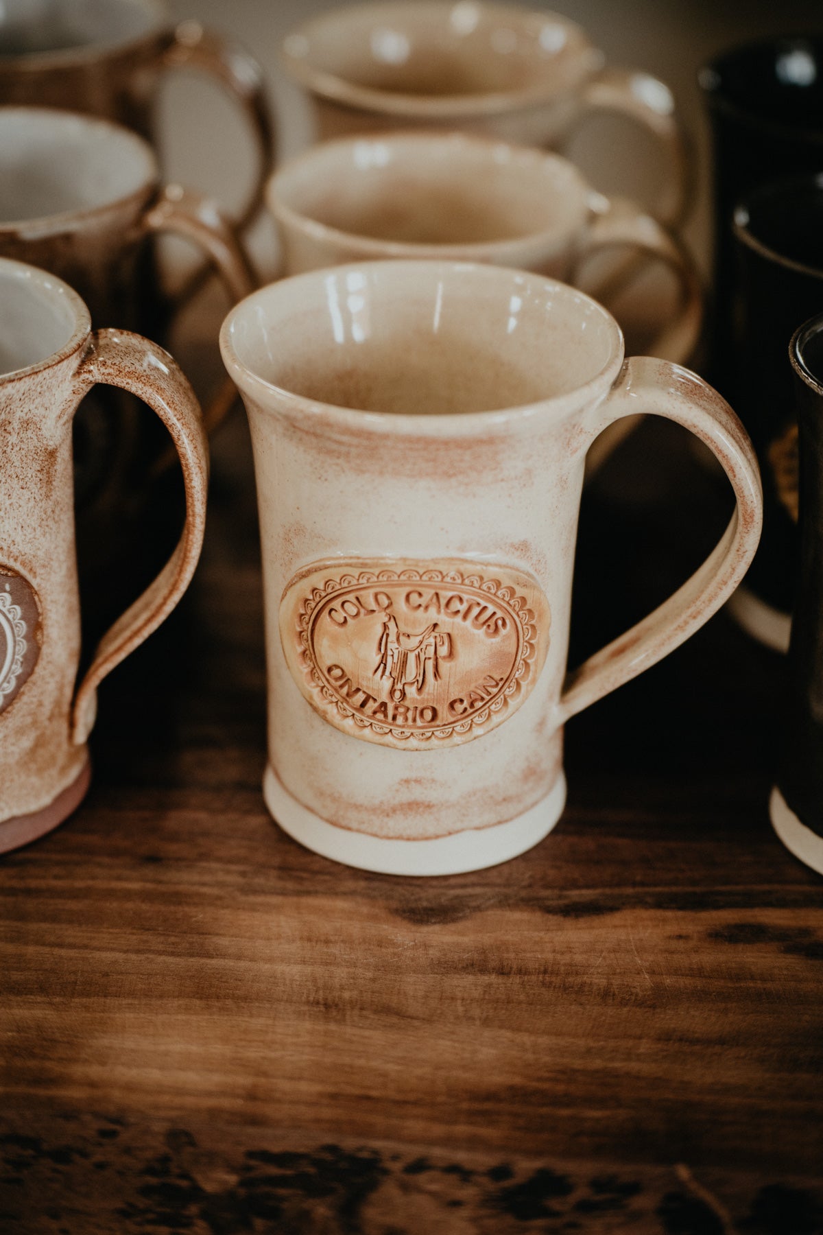 Handcrafted Cold Cactus Stamped Pottery Mug (4 Colours)