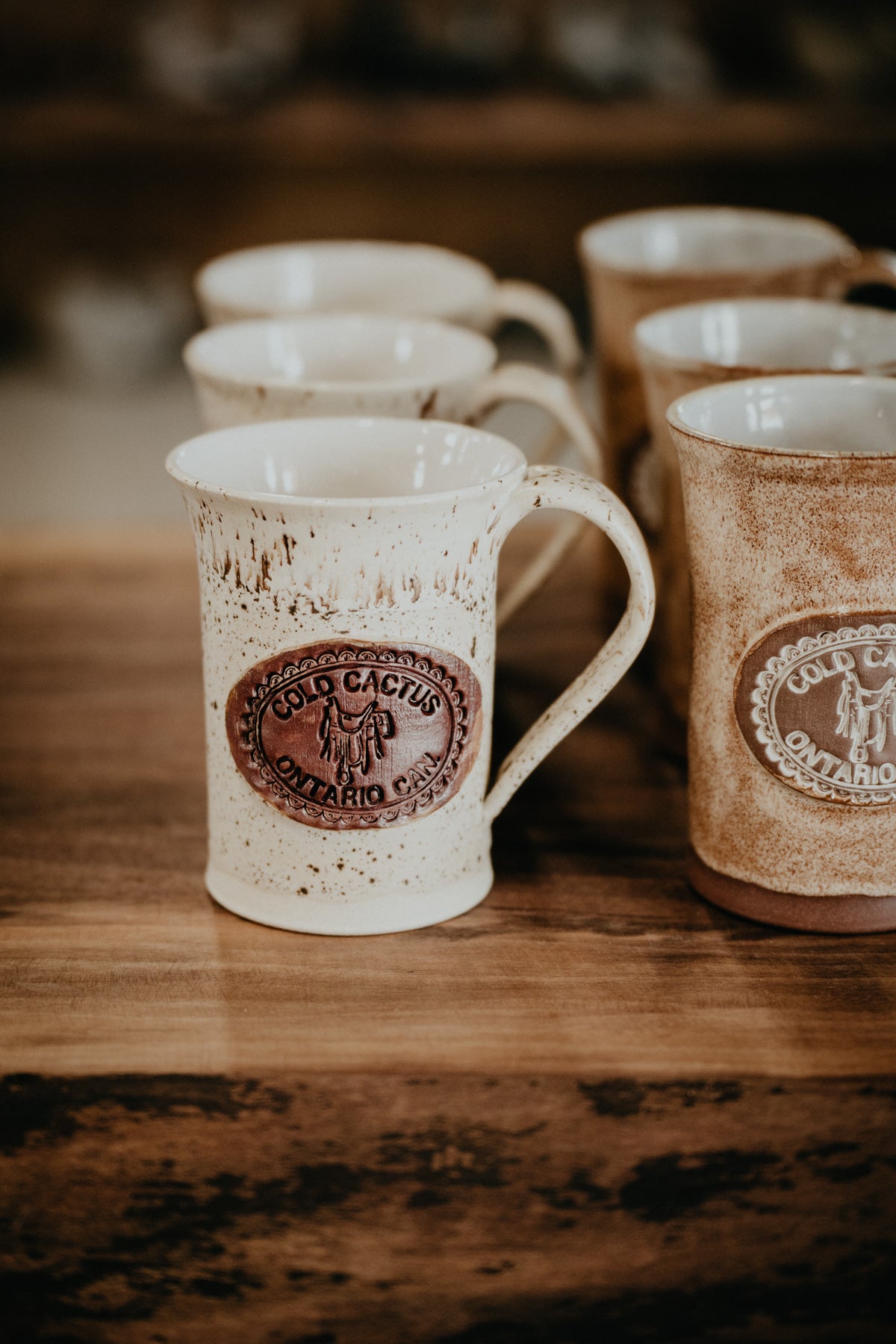 Handcrafted Cold Cactus Stamped Pottery Mug (4 Colours)