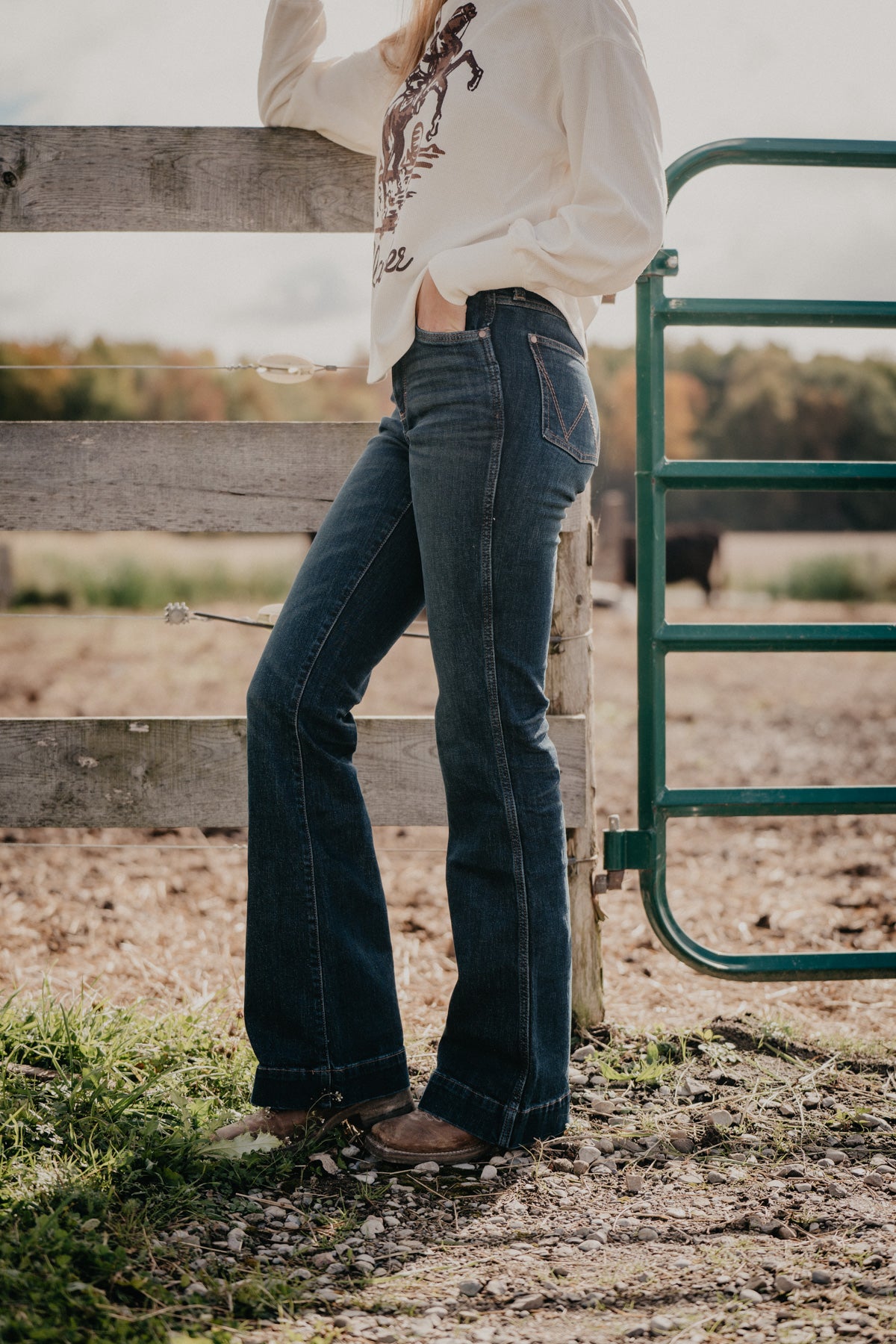 'Beau' Retro Bailey High Rise Trouser Jean by Wrangler (Sizes 24 - 35)