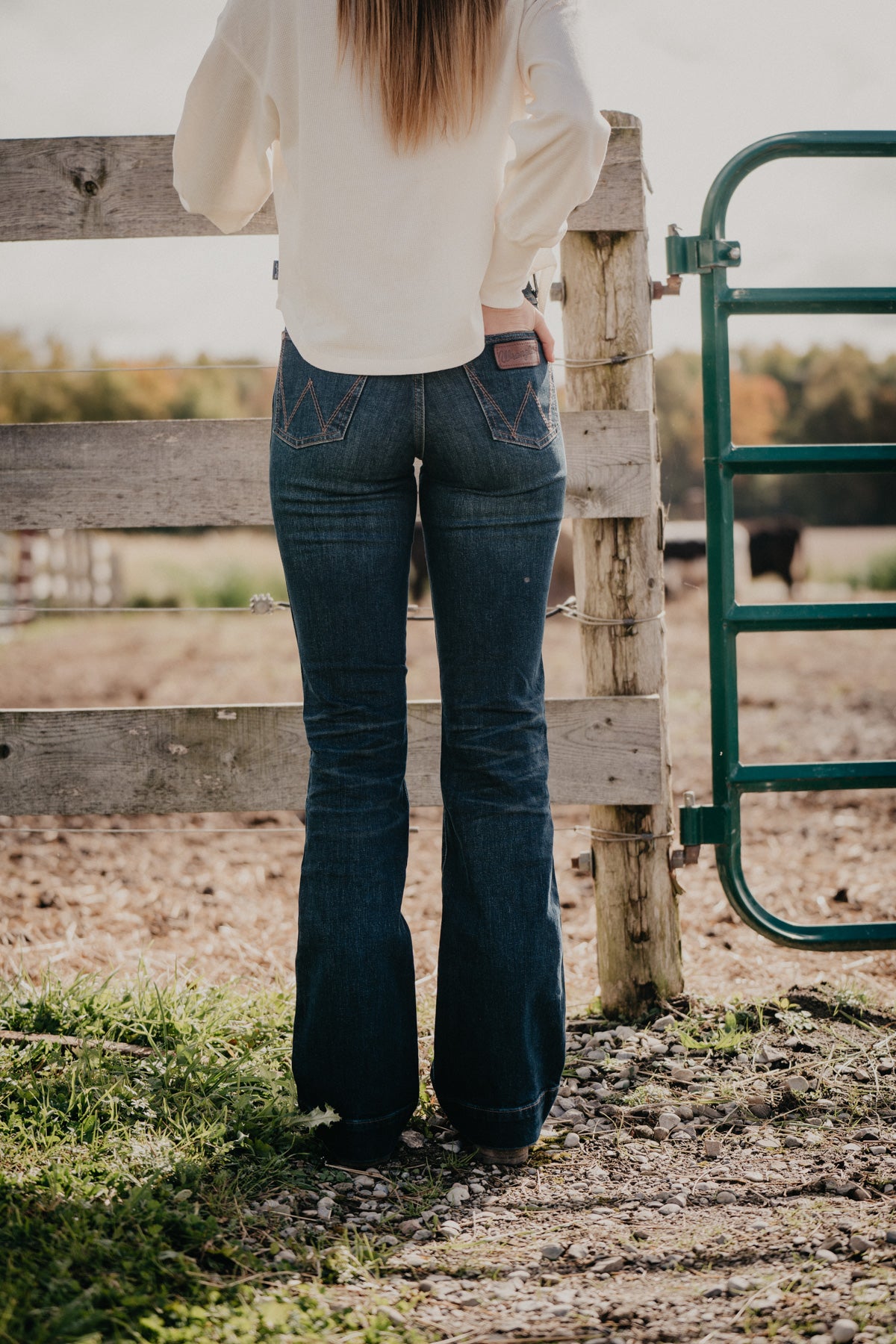 'Beau' Retro Bailey High Rise Trouser Jean by Wrangler (Sizes 24 - 35)
