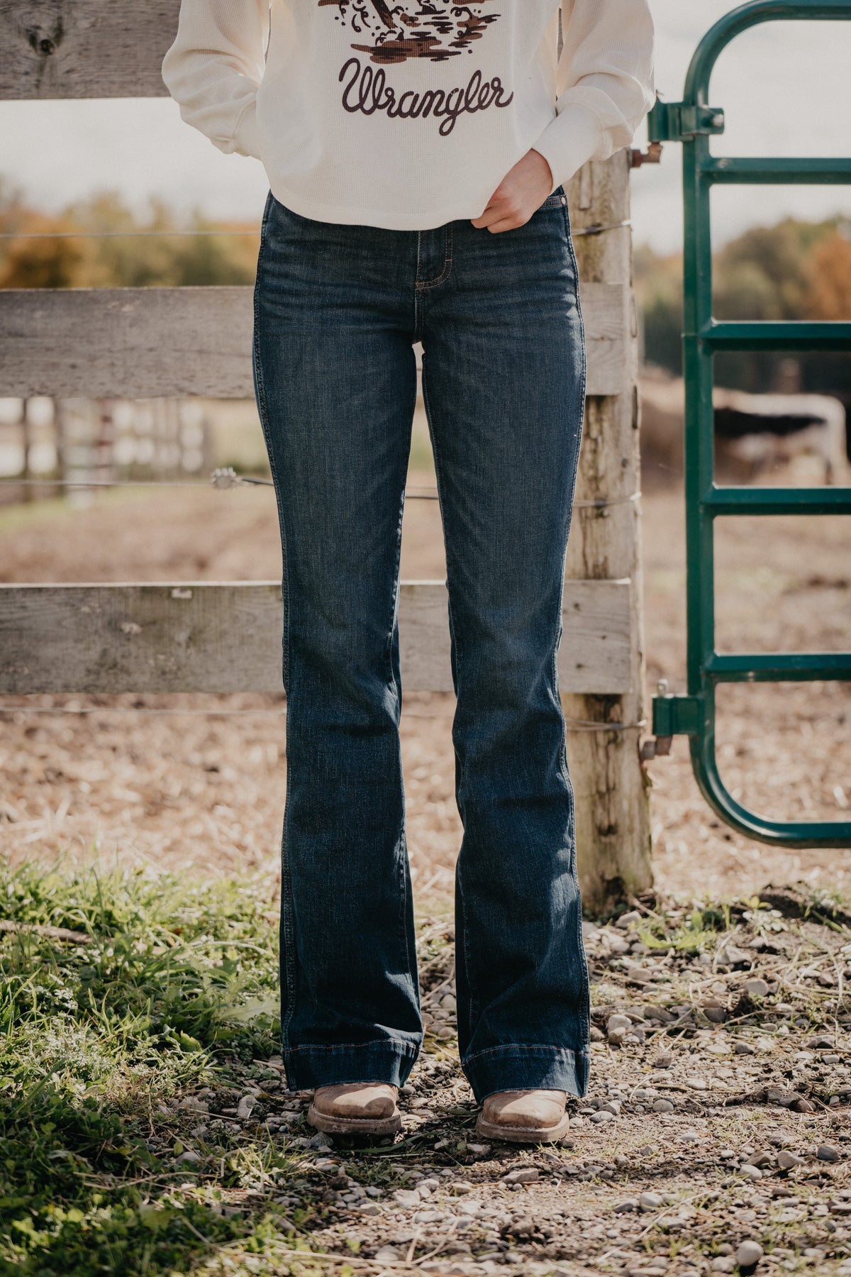 'Beau' Retro Bailey High Rise Trouser Jean by Wrangler (Sizes 24 - 35)