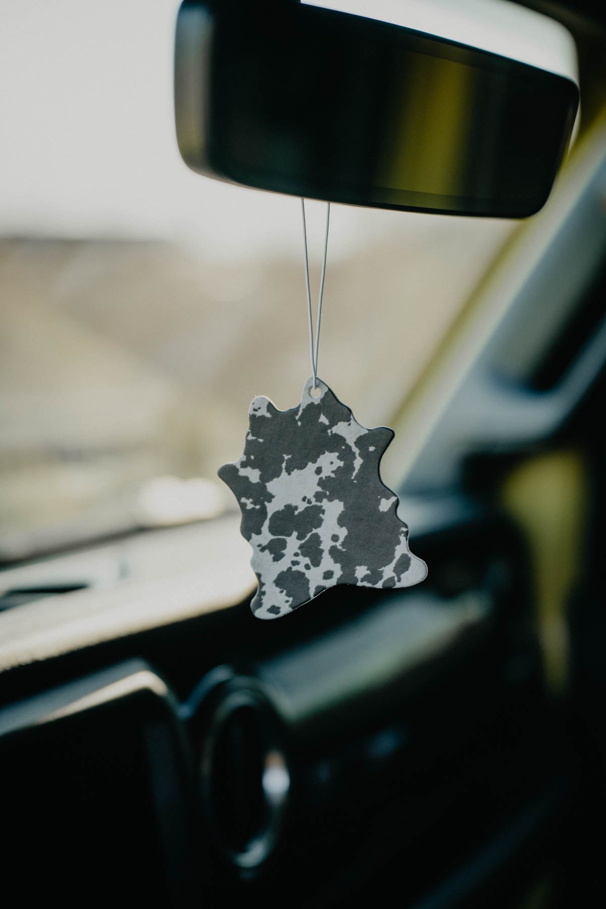 Car Air Fresheners (Various Designs / Scents)