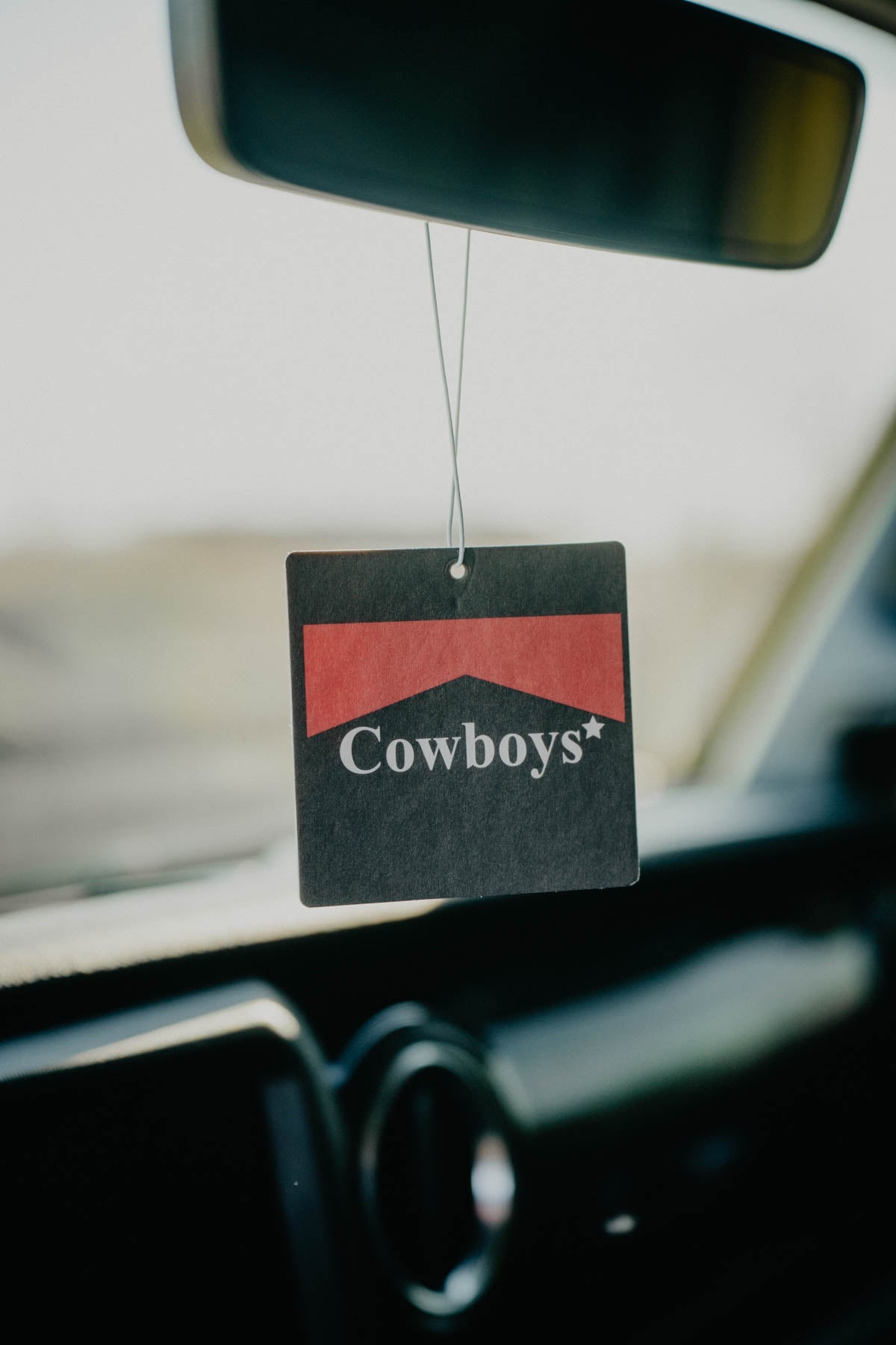 Car Air Fresheners (Various Designs / Scents)