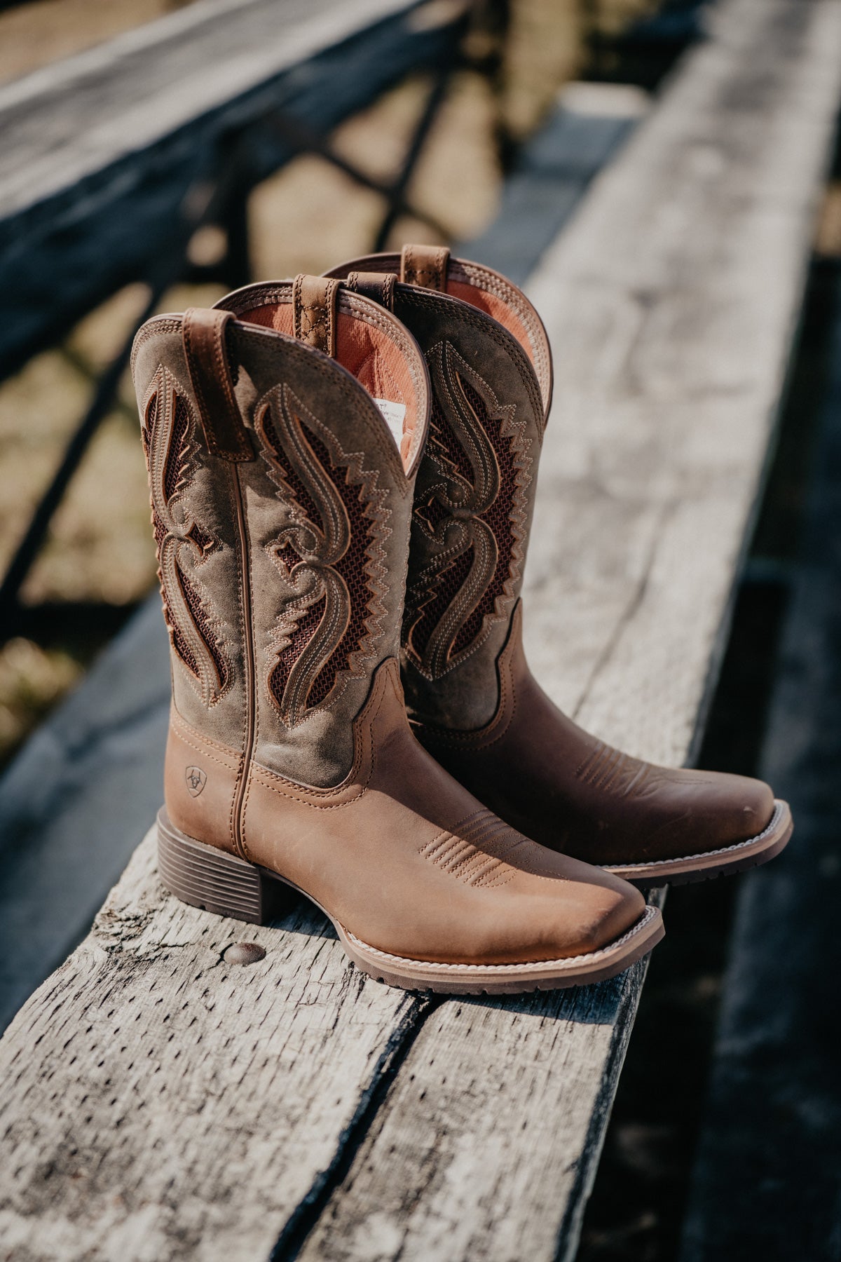 Women's Ariat Hybrid Rancher VenTek Boots (Sizes 6.5-10 B Width)
