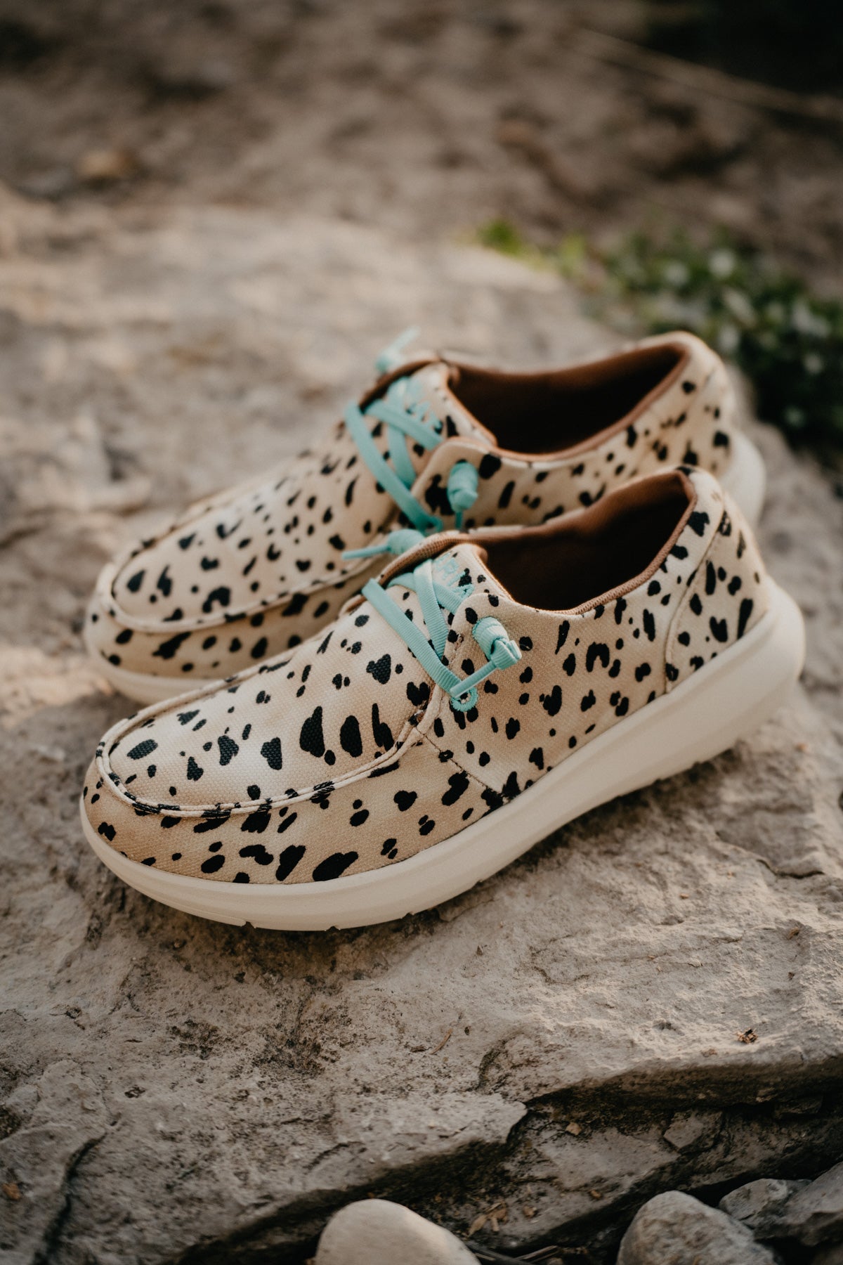Animal Print Ariat Hilo Shoes (1 Size 6 Only)