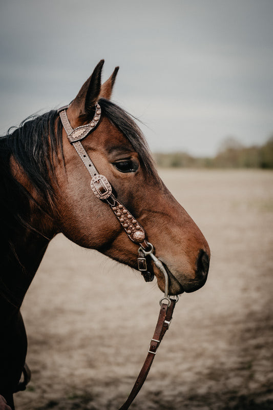 Double J Vintage Brown Single Ear Headstall with Copper Accents