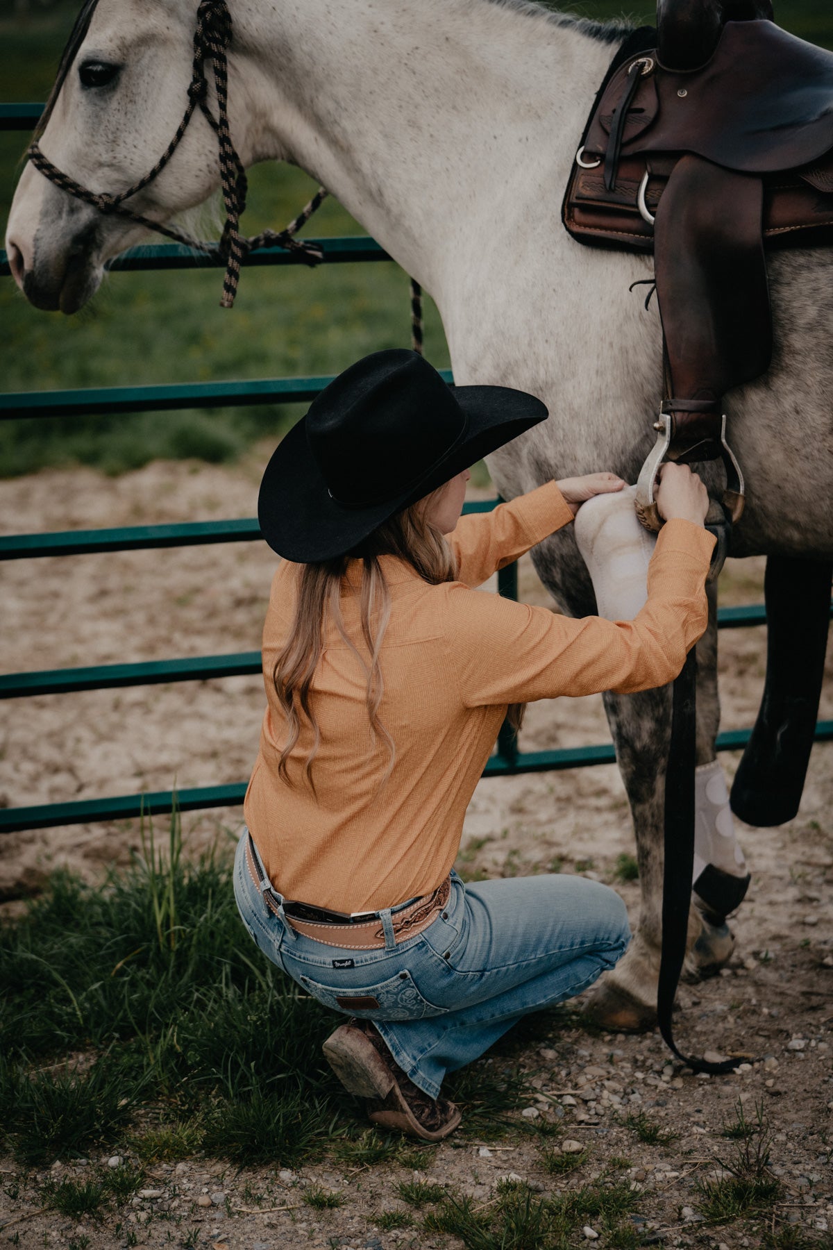 'Gold Butte' Women's CINCH Arenaflex Gold Western Button Up (1 XS & L Only)