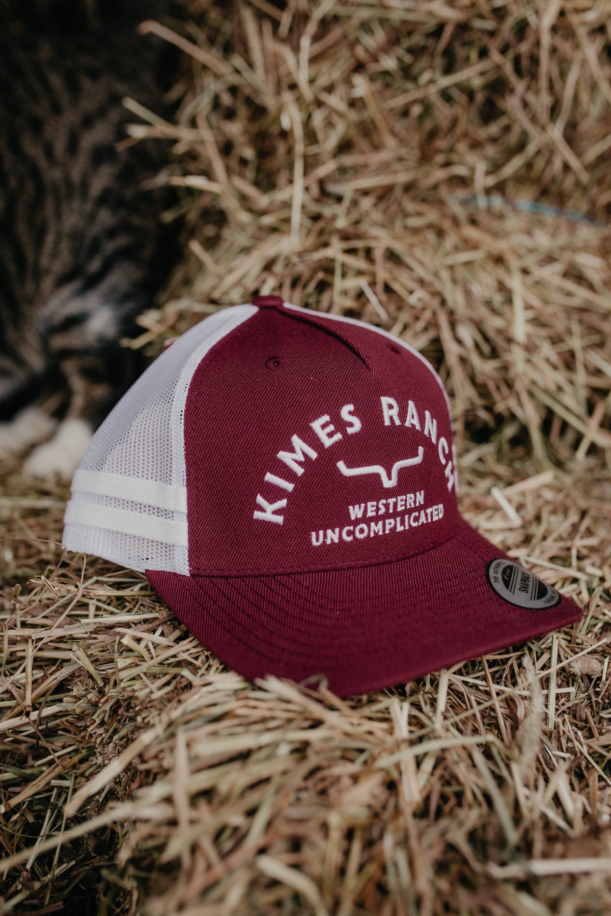 'Cantor' Kimes Ranch Burgundy Hat