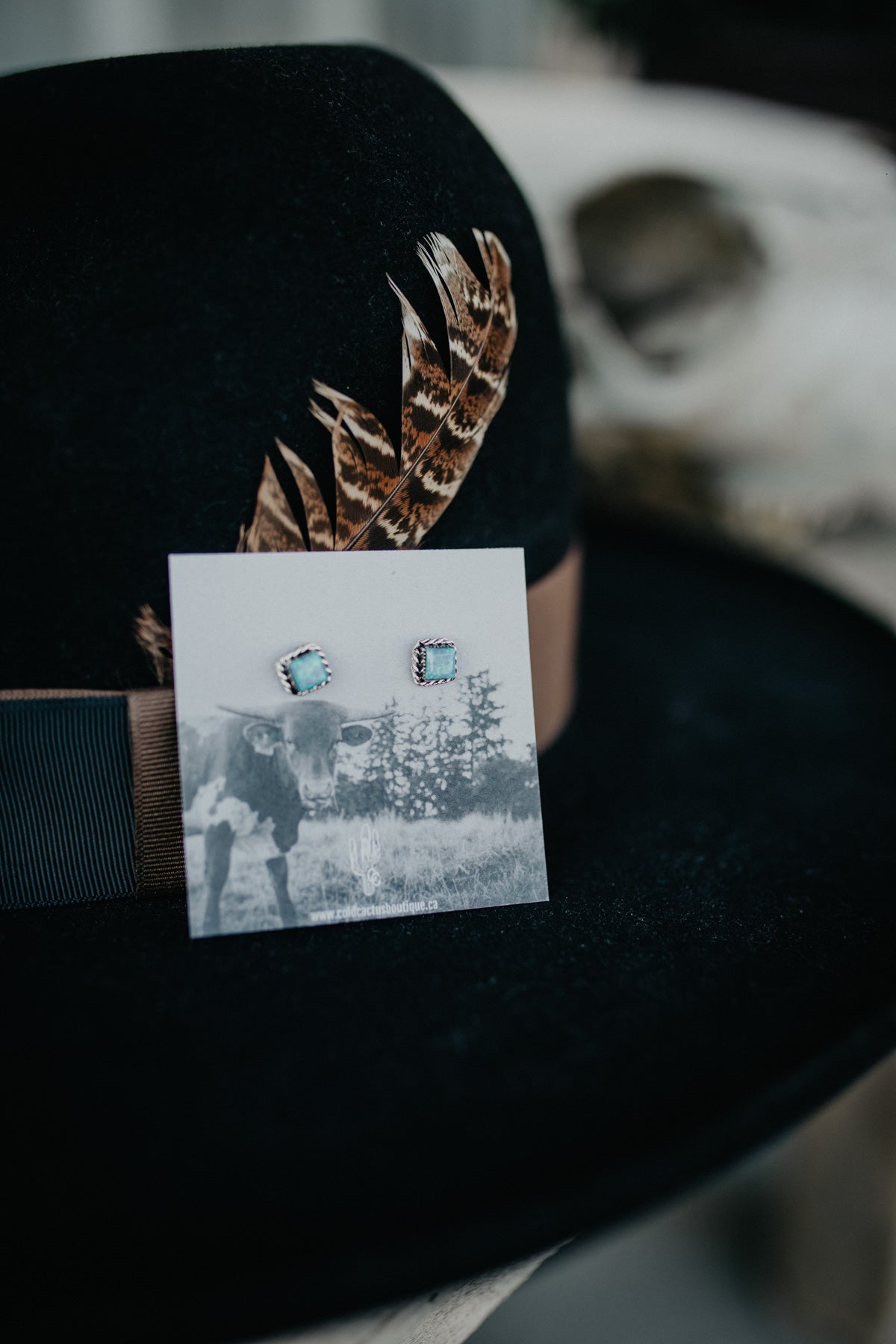 Iridescent Square Turquoise Earring with Sterling Rope Border