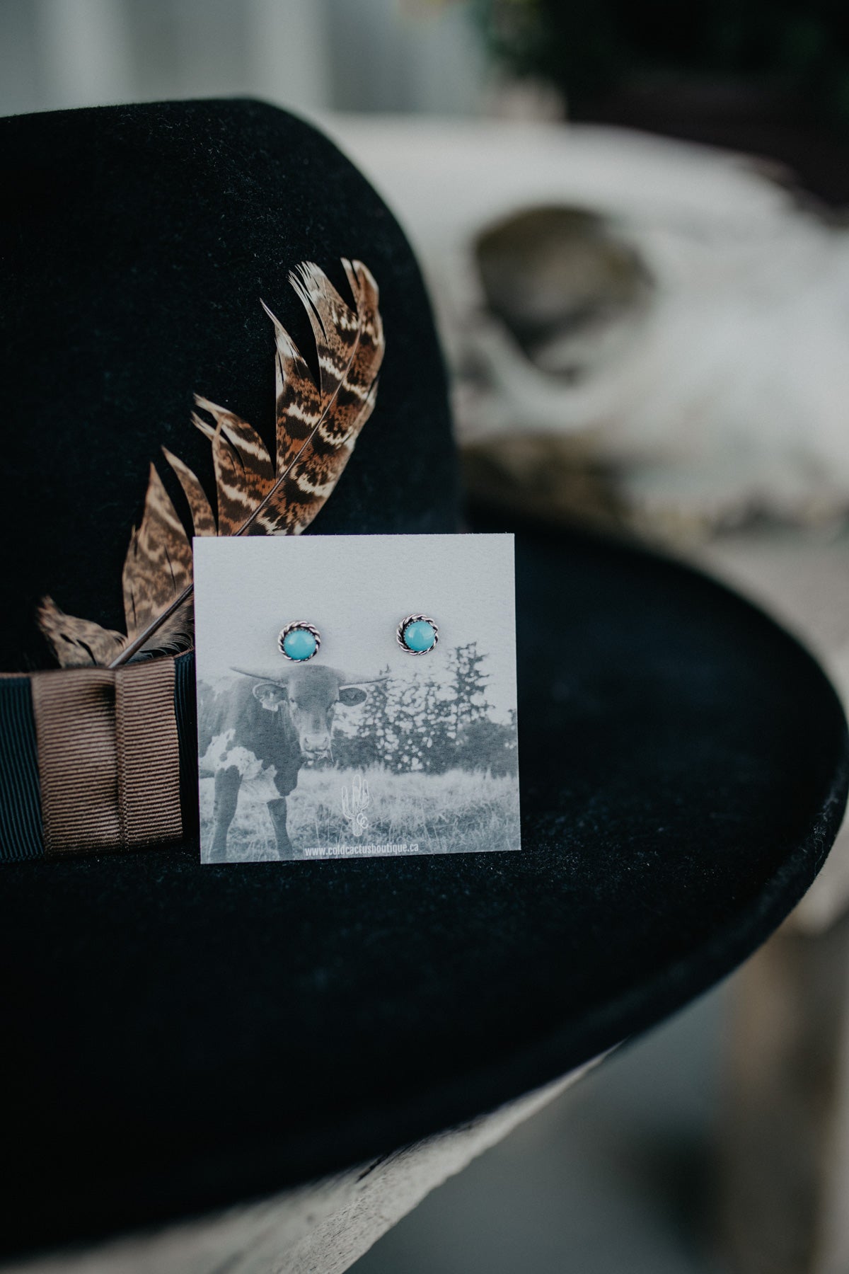 Round / Oval Turquoise Earrings with Sterling Rope Border