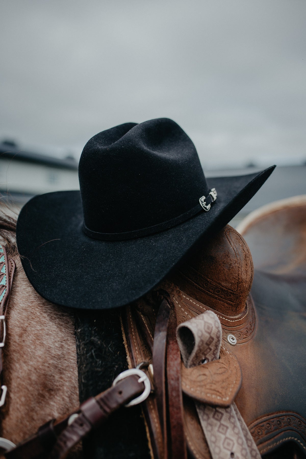 'Skyline' 6X Felt Cowboy Hat by Stetson (2 Colours)