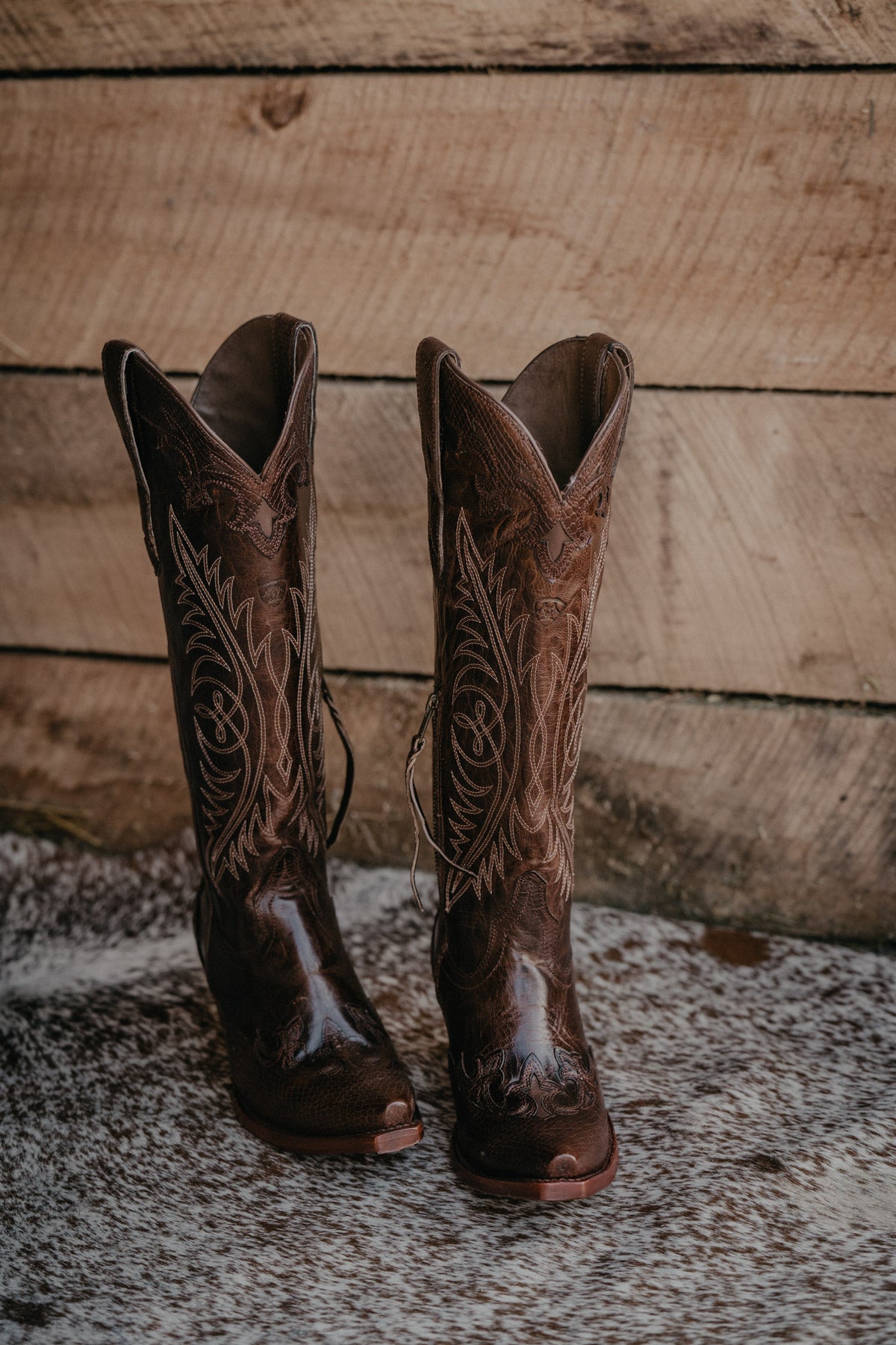 'Geneva' Ariat Tall Western Boot with Calf Stretch Fit {Rye Brown}