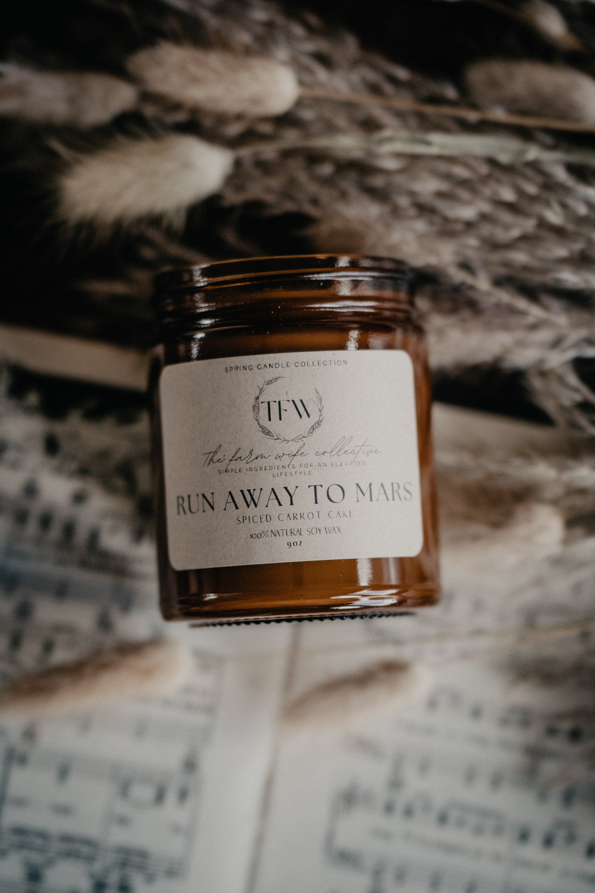 "Run Away to Mars" Carrot Cake Scented Soy Candle (9 oz)