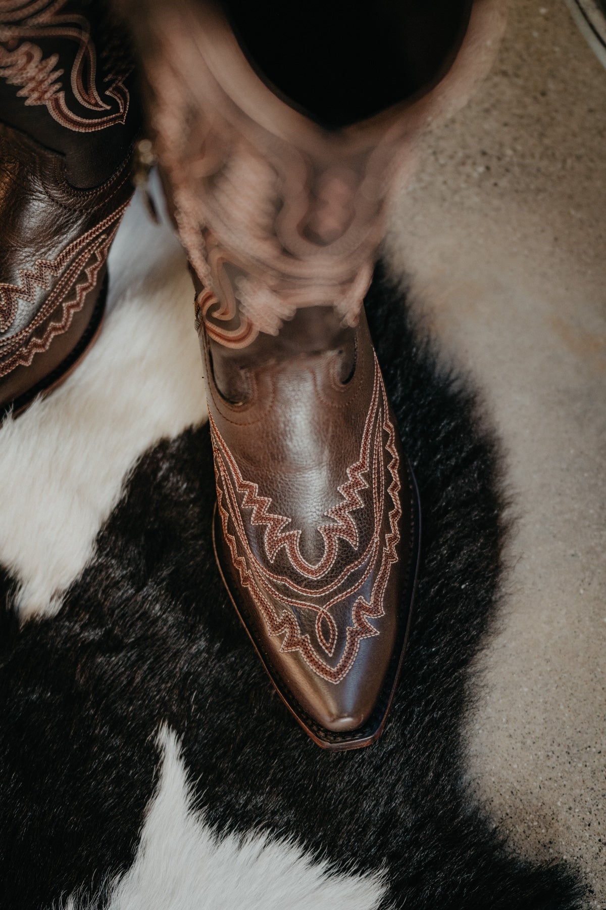 Casanova Tall Western Boot by Ariat {Rich Chocolate}