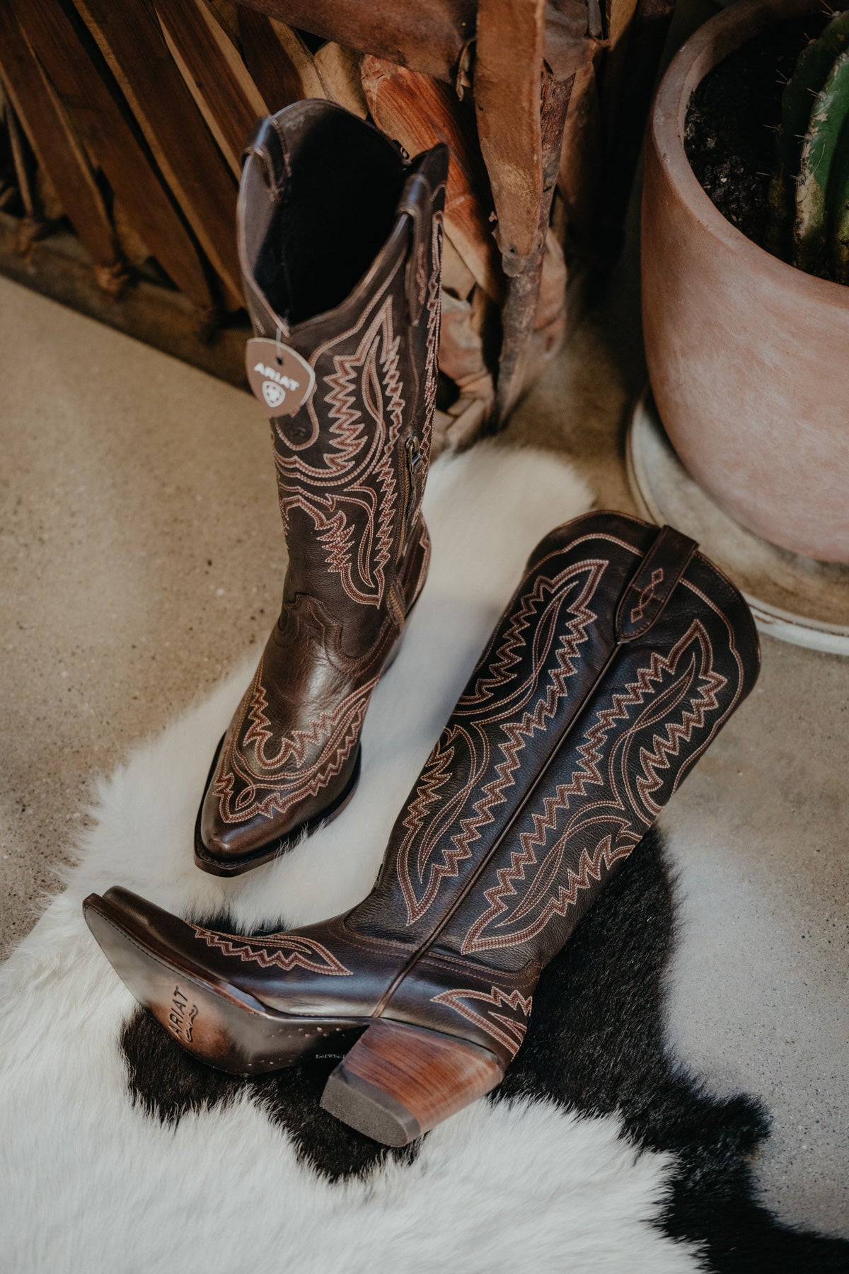 Casanova Tall Western Boot by Ariat {Rich Chocolate}