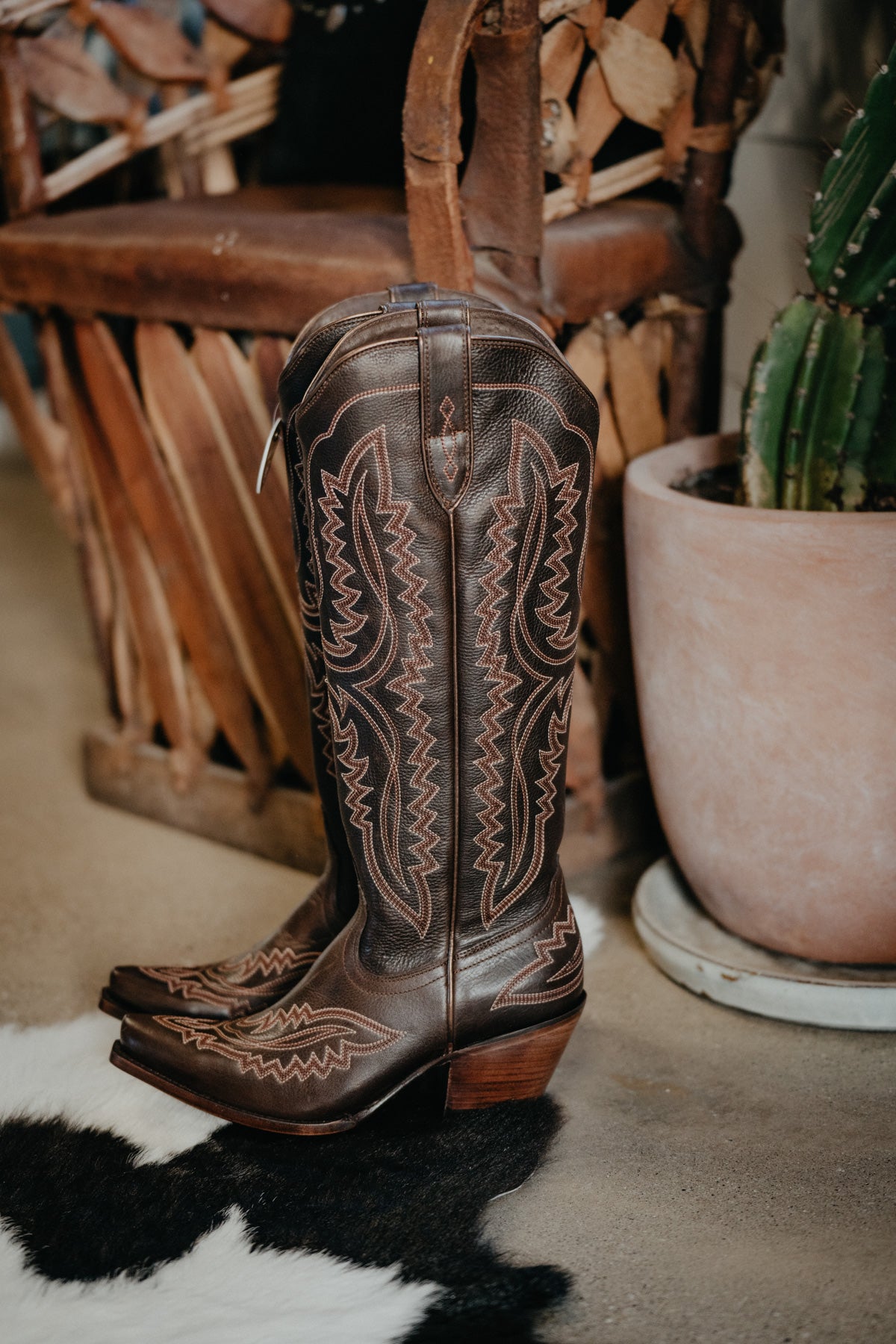 Casanova Tall Western Boot by Ariat {Rich Chocolate}