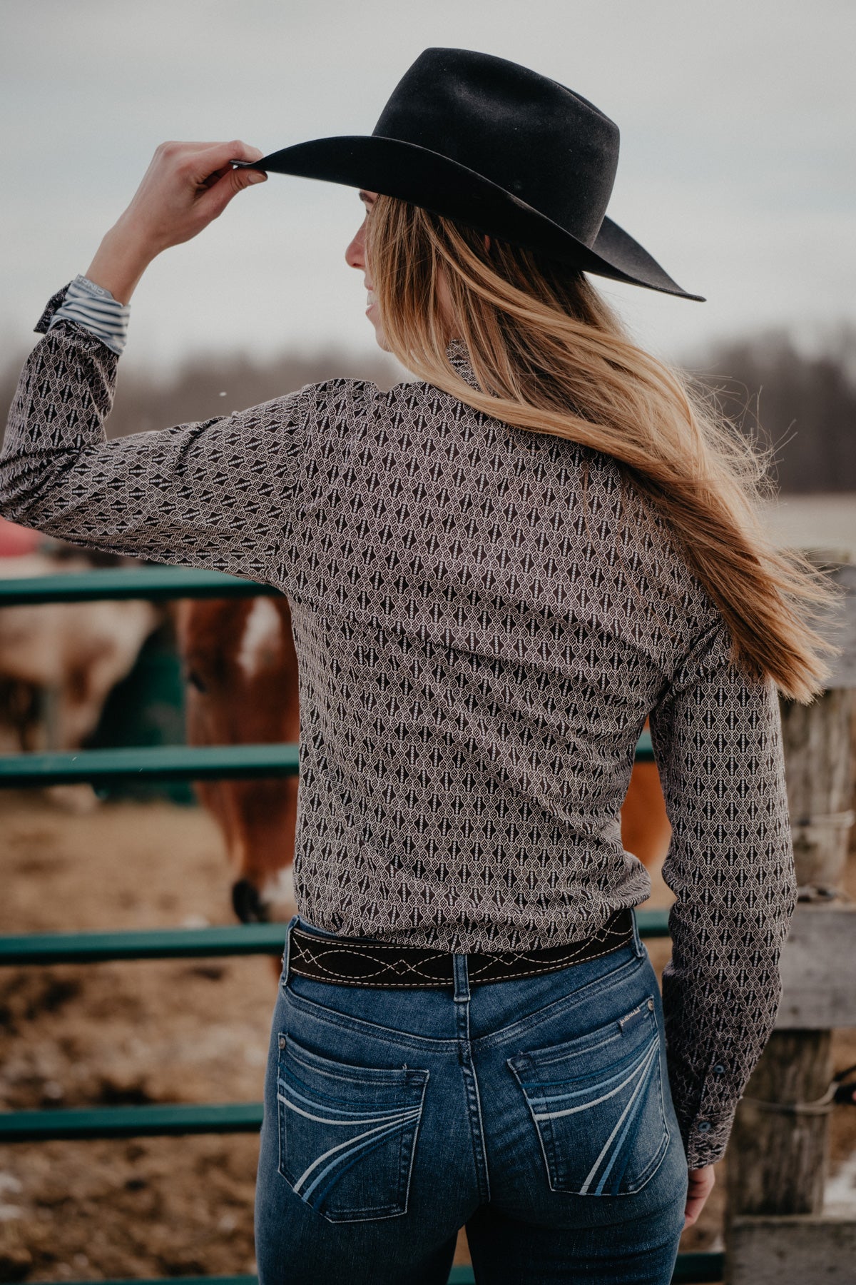 'Brooklyn' Brown & Powder Blue Women's CINCH Shirt (XS-XXL)