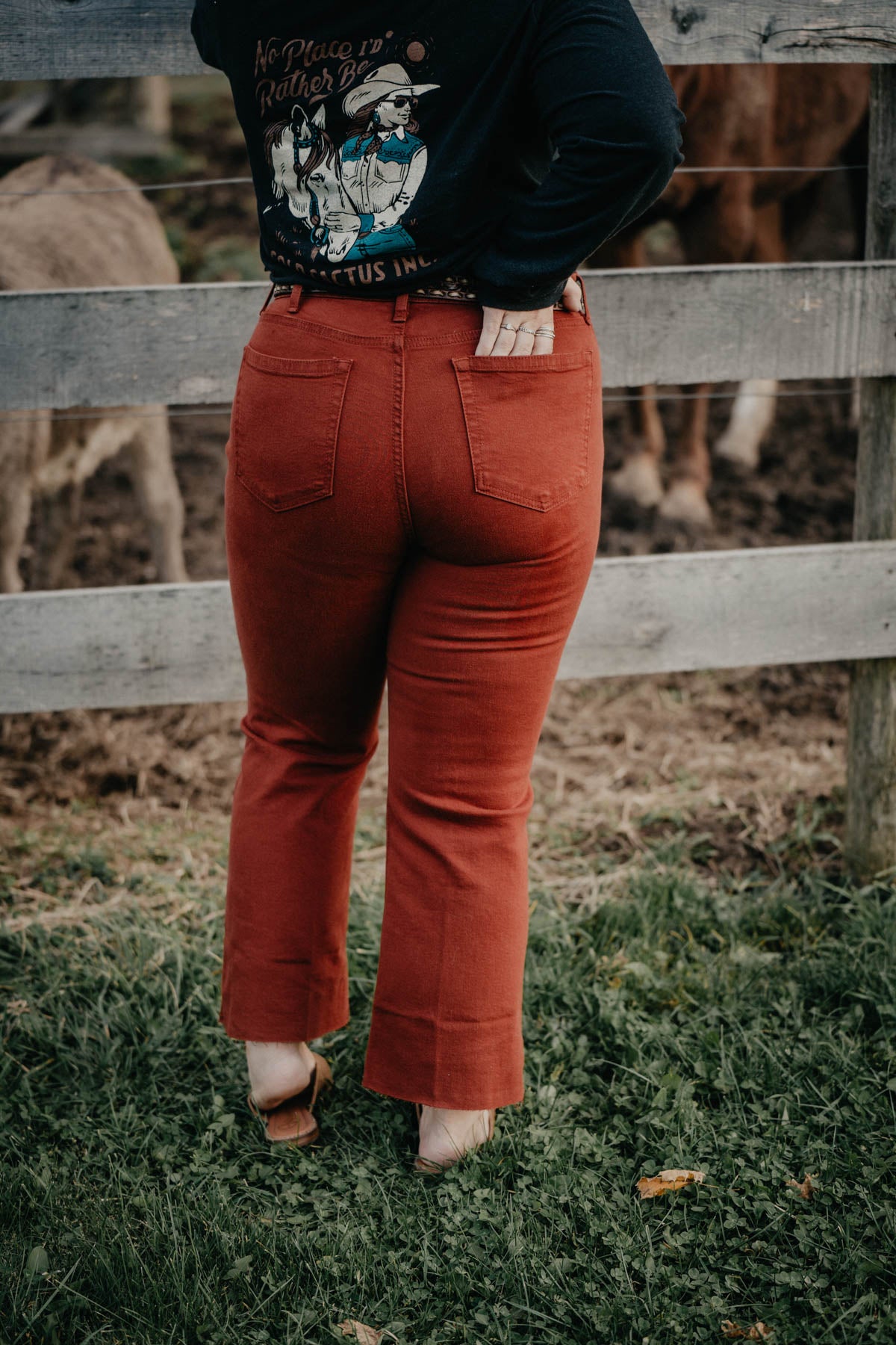 'Dakota' High Rise Rust Kick Flare Jean by Ariat (Sizes 25-34)