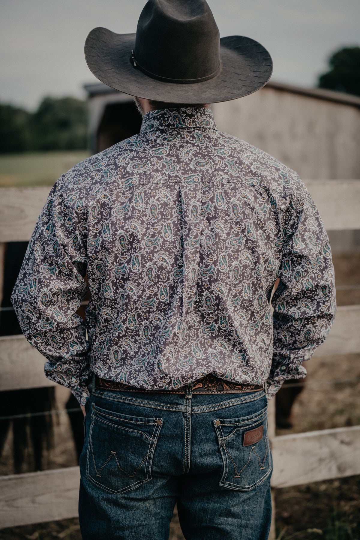 Cinch clearance paisley shirt