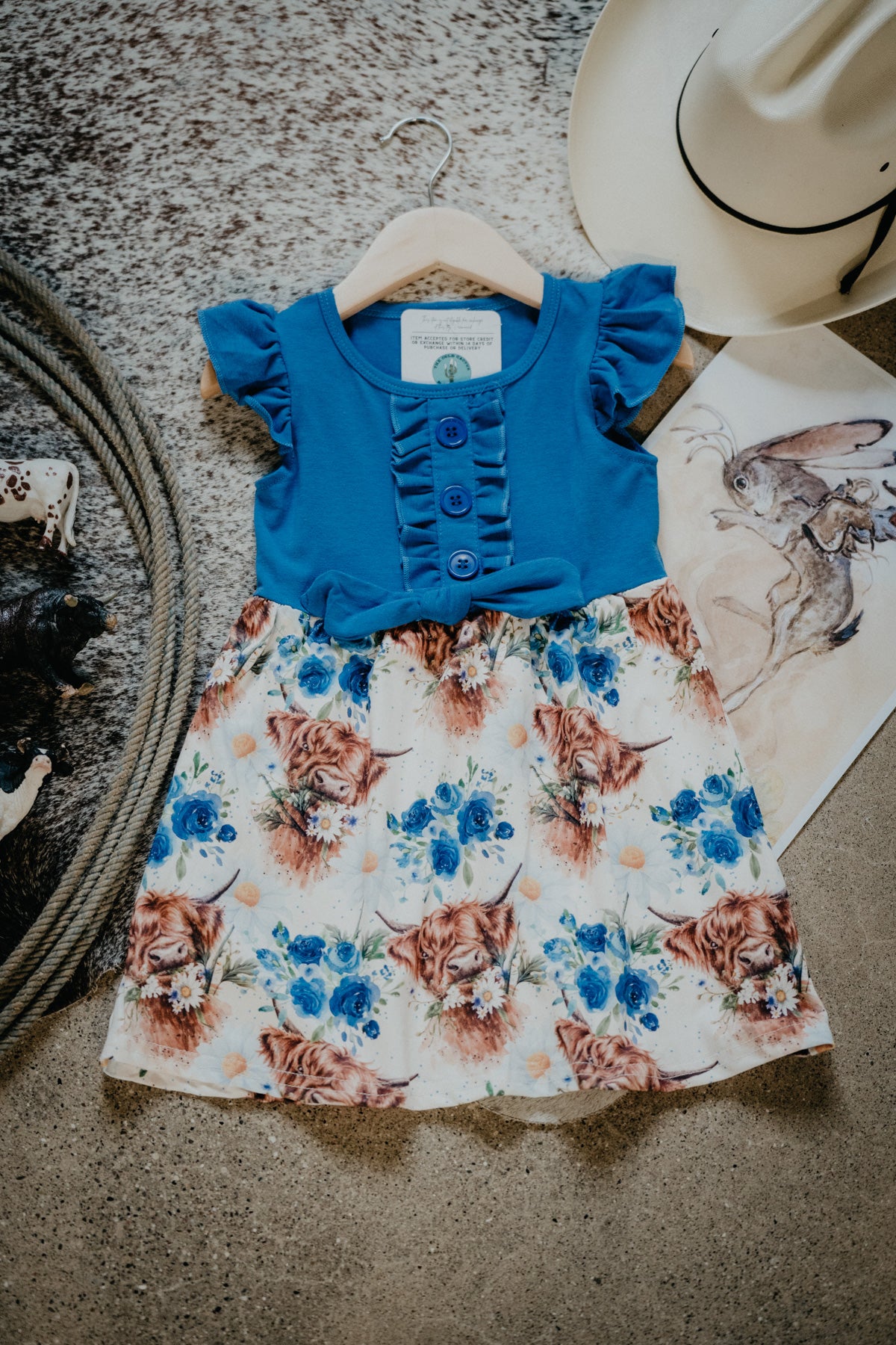 Blue and Highland Print Dress (12-18M to 8/9T)