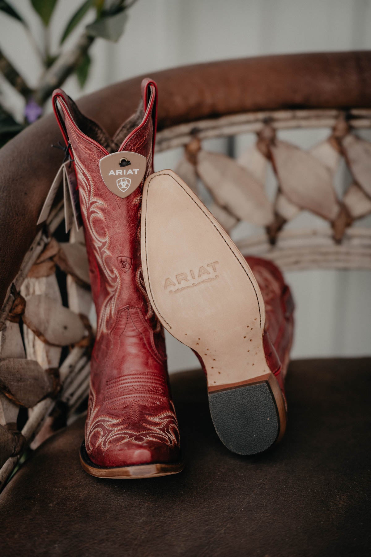 Hazen Red Ariat Boot 12 Shaft 6 11 Cold Cactus Inc