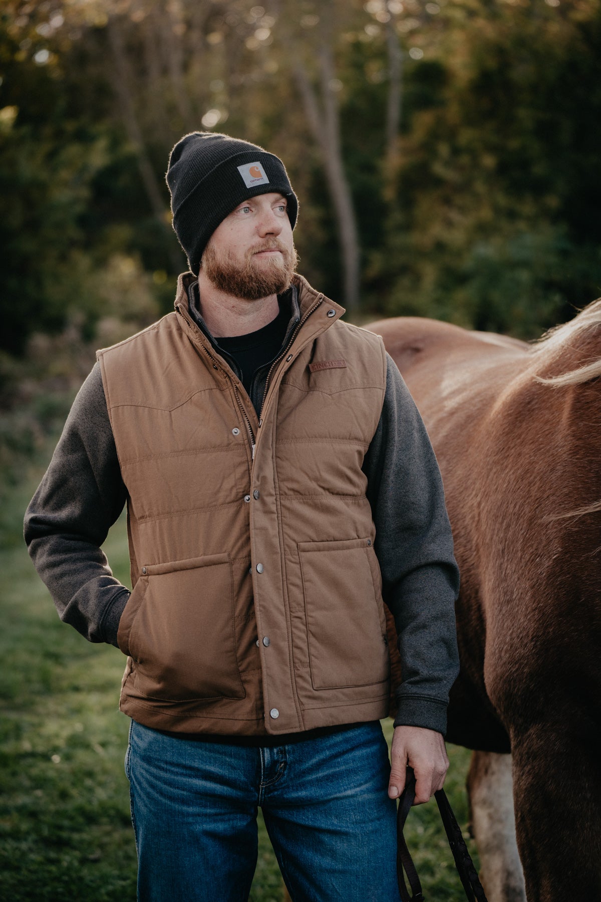 'Steve' Men's CINCH Quilted Vest Brown (XS-XXL)