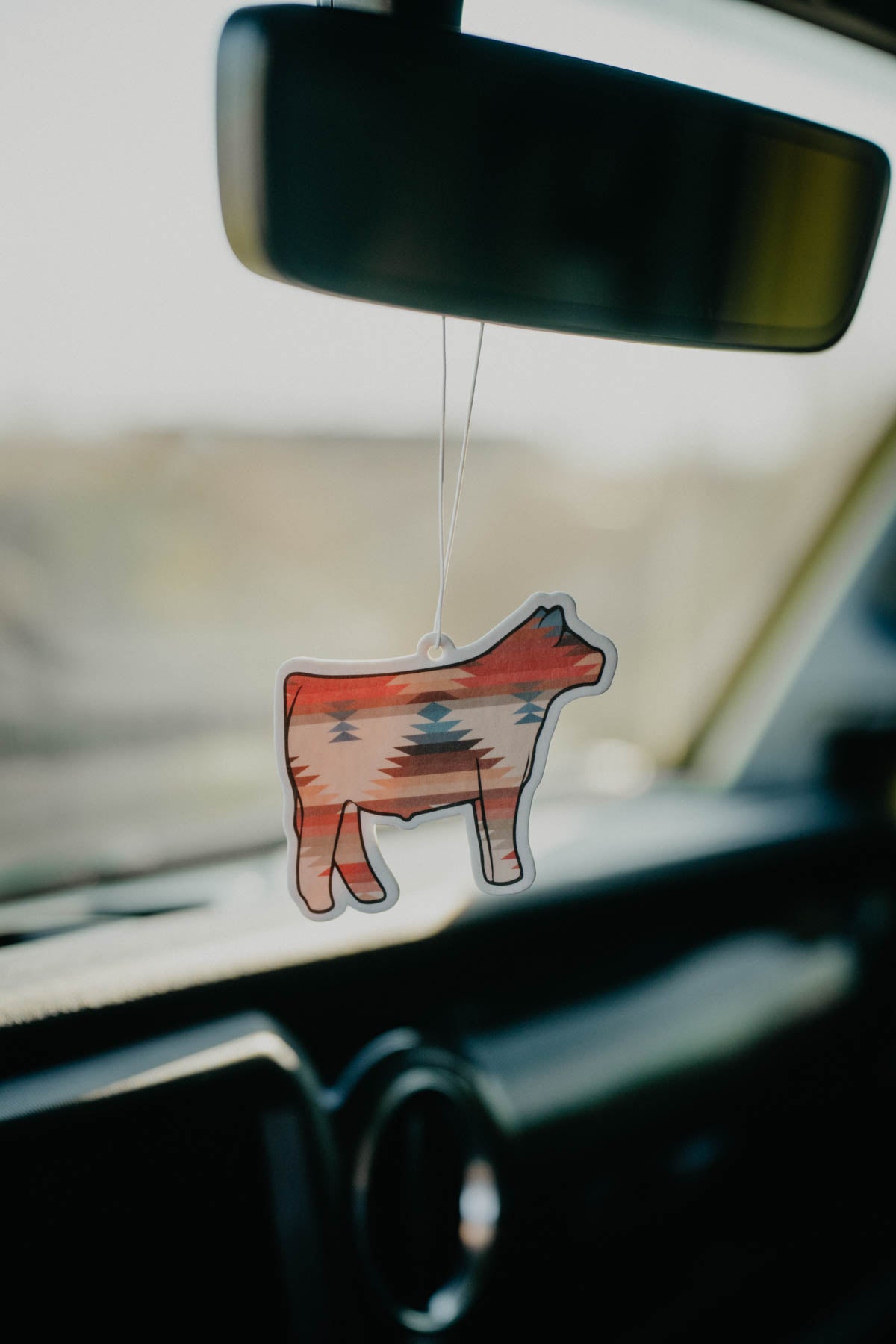 Car Air Fresheners (Various Designs / Scents)