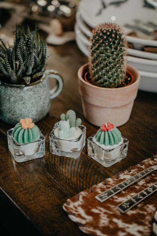 Tealight Succulent Cactus Soy Candle (Various Types)