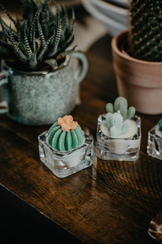 Tealight Succulent Cactus Soy Candle (Various Types)