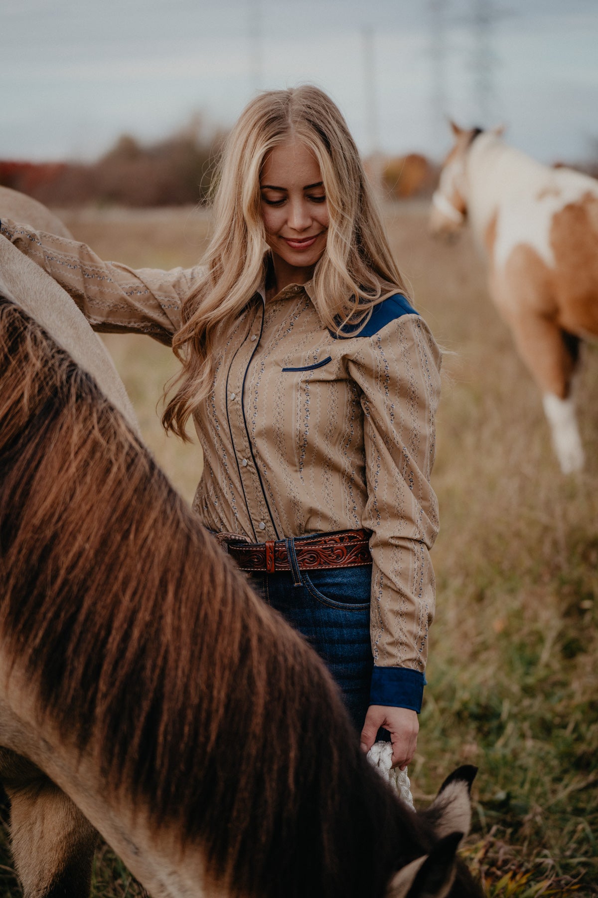 'Bandera' Women's Tan & Navy Wallpaper Pearl Snap by Roper (XS - 2XL)