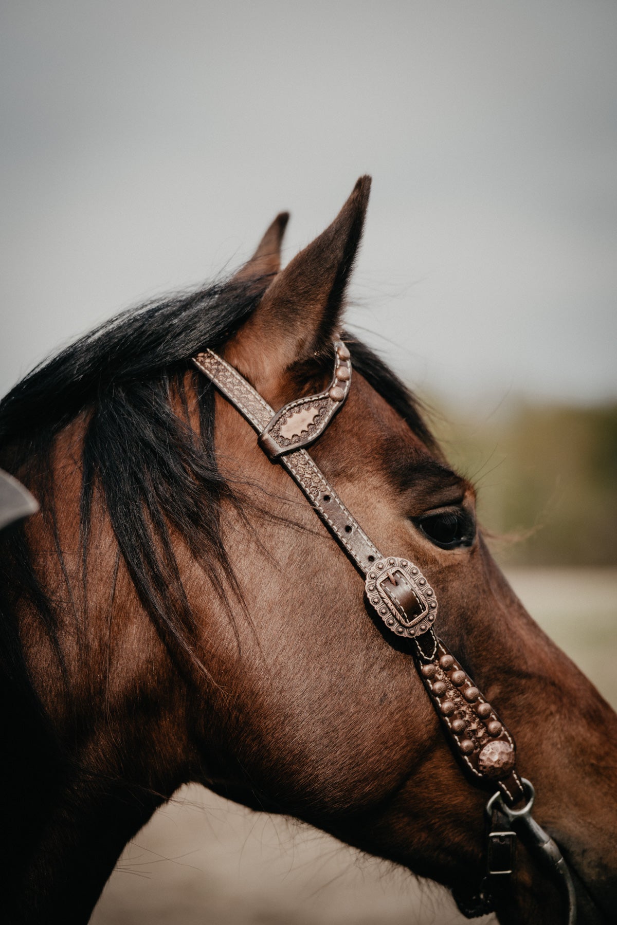 Double J Vintage Brown Single Ear Headstall with Copper Accents