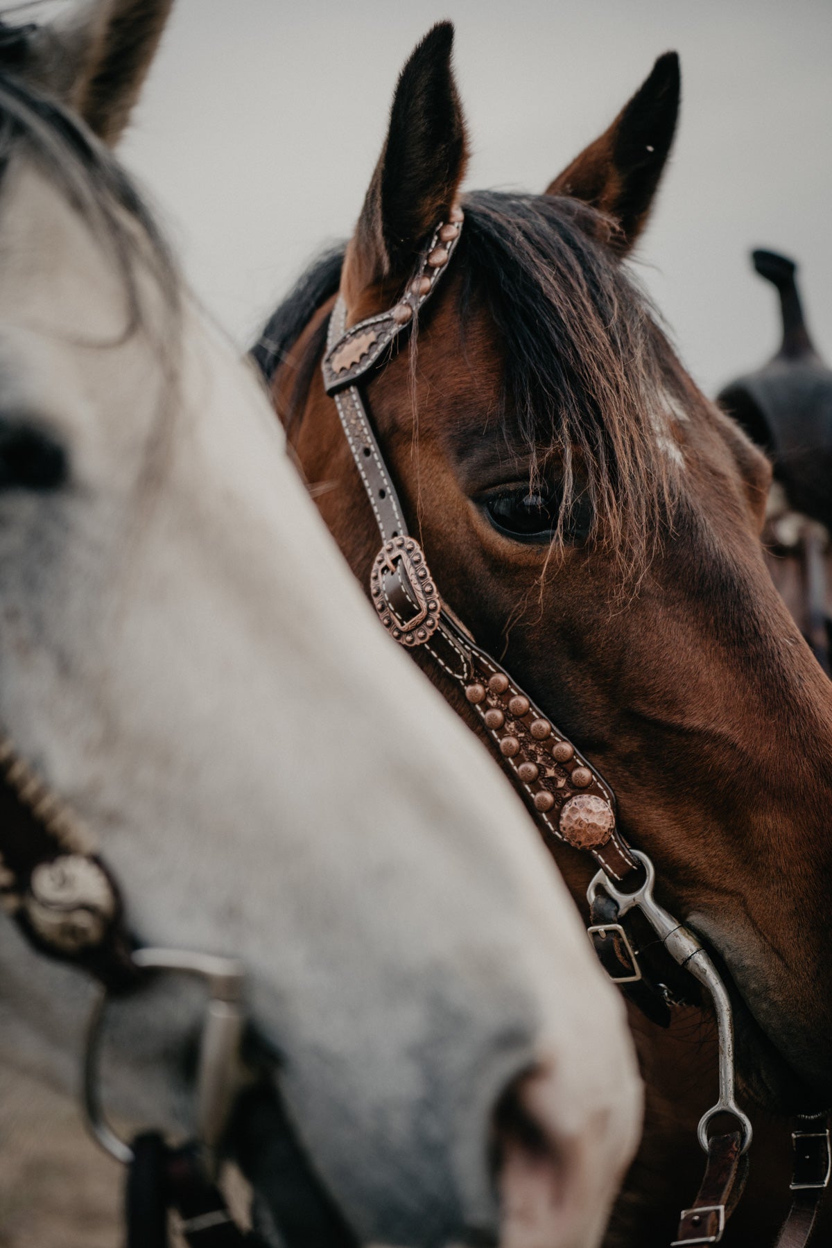 Double J Vintage Brown Single Ear Headstall with Copper Accents