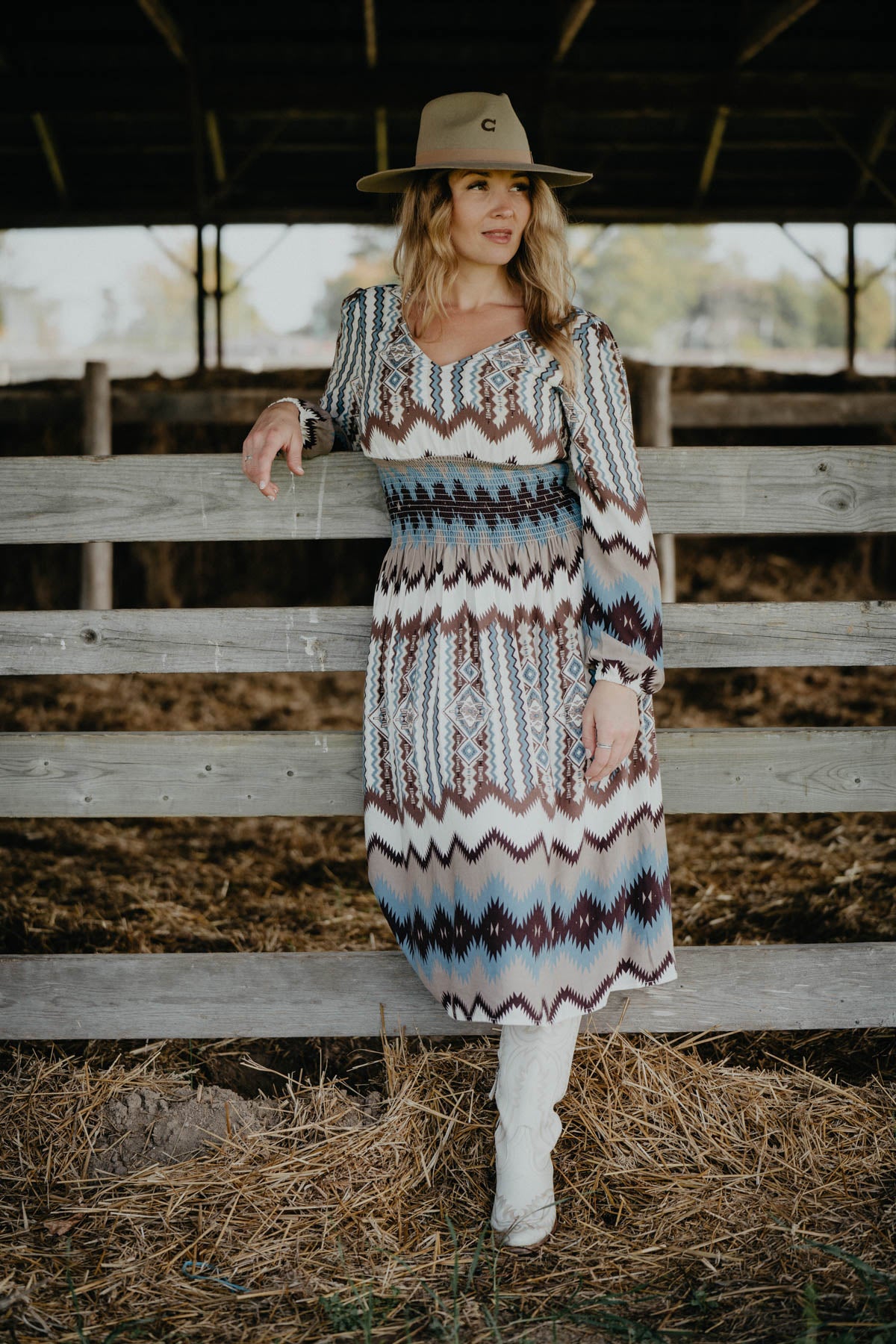 'Two Columns' Ariat X Chimayo Dress (XS Only)