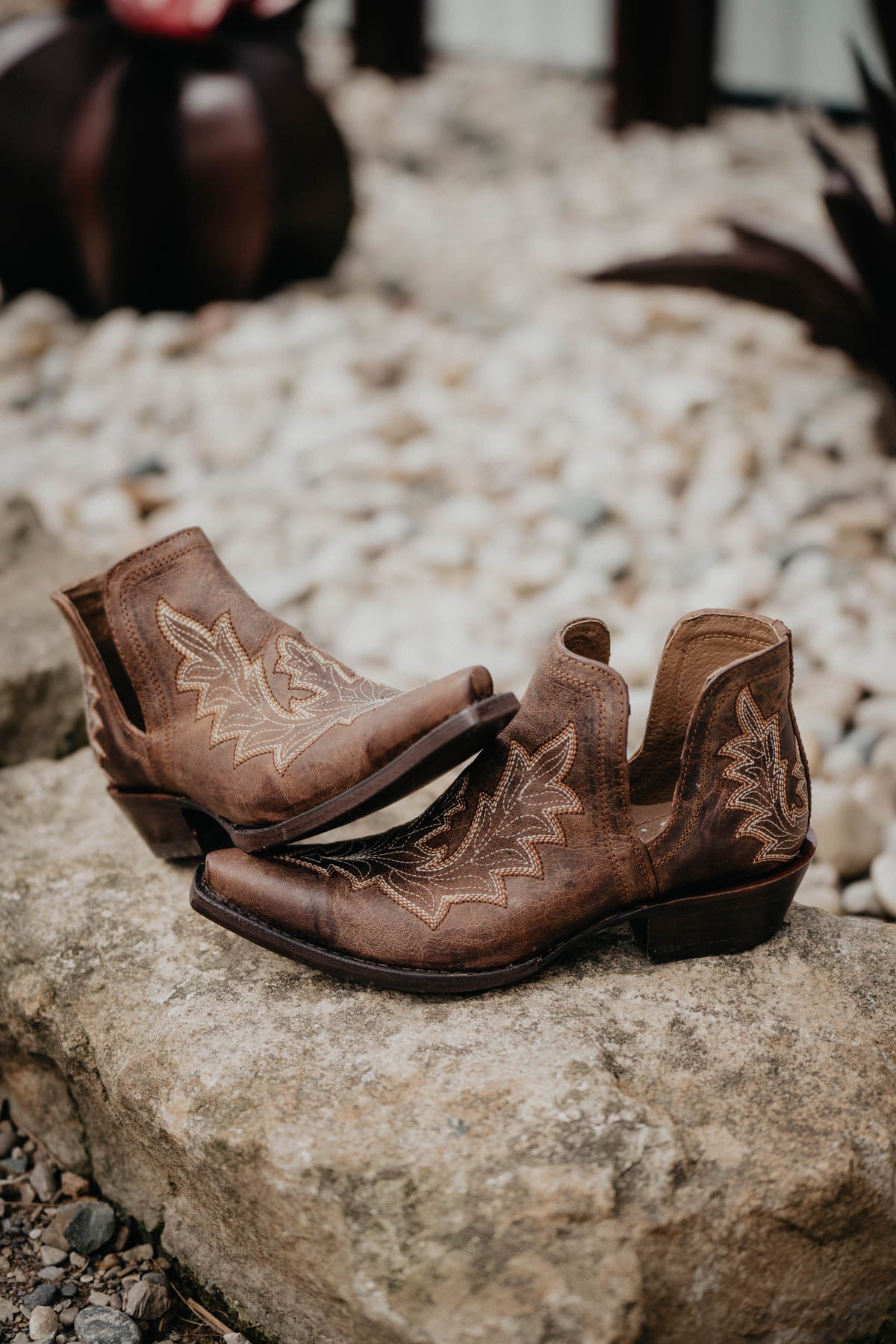 Ariat Dixon Low Heel - Brown {B & C Widths}