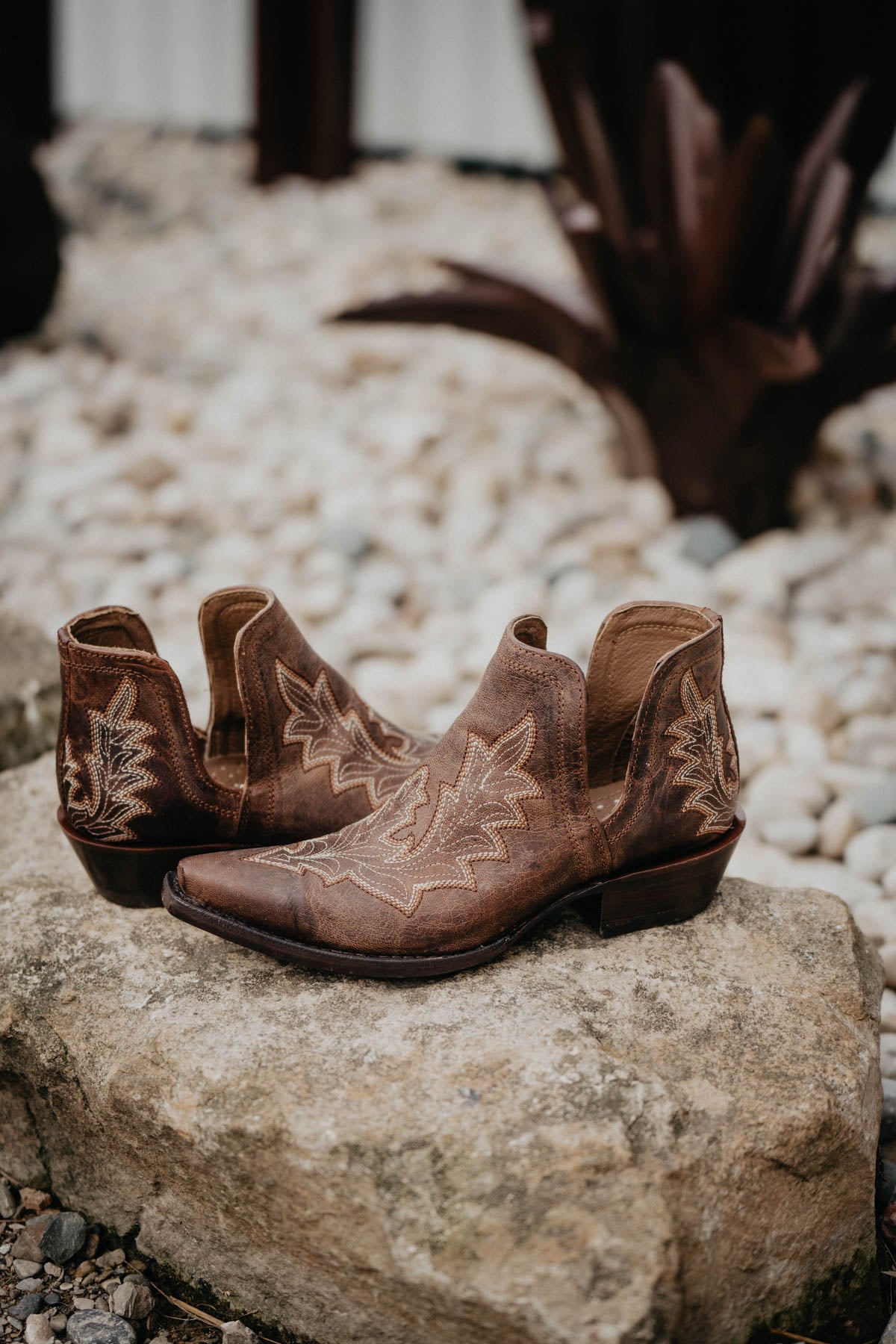 Ariat Dixon Low Heel - Brown {B & C Widths}