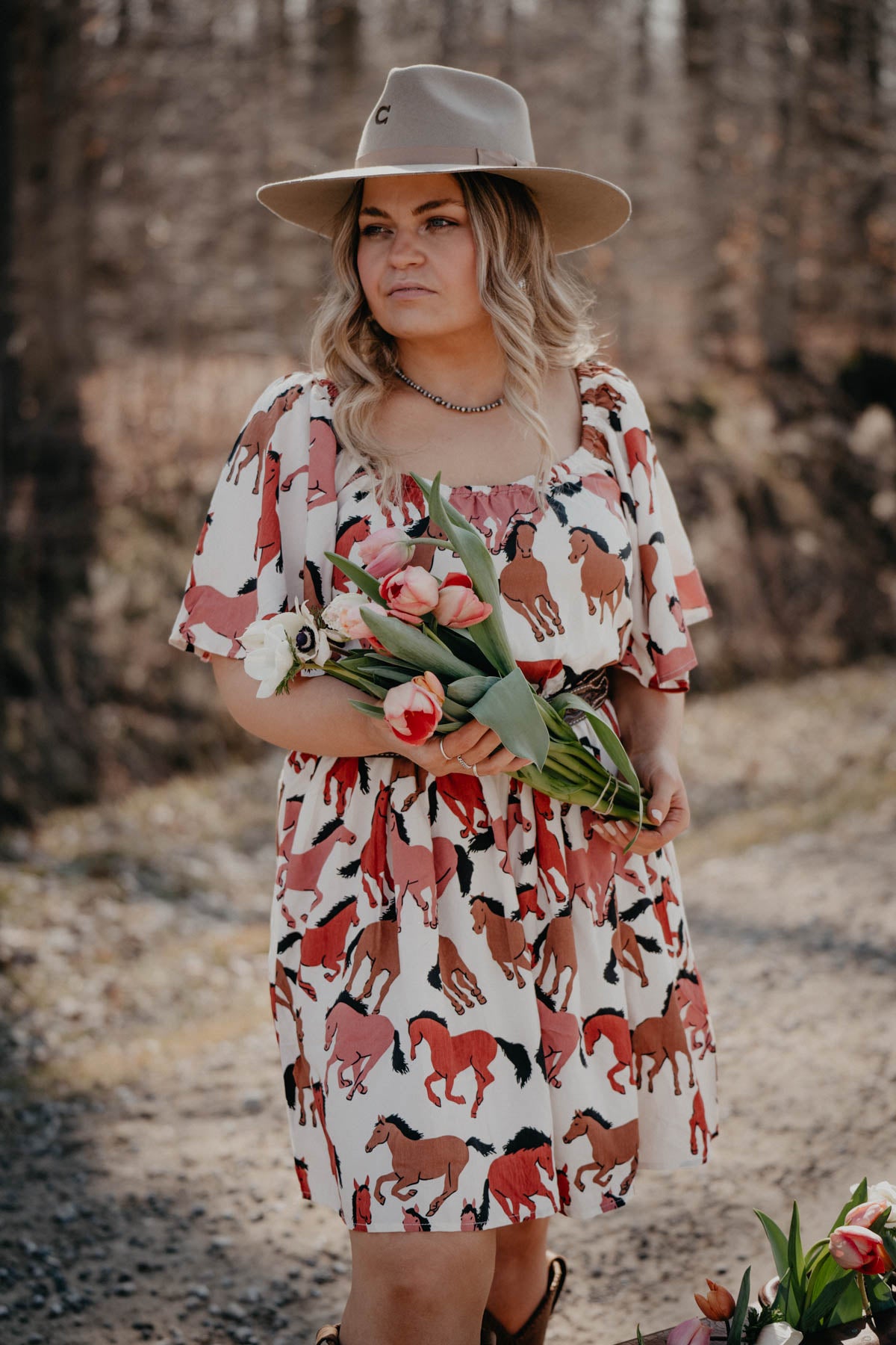 'Chicory' Women's Wrangler Horse Print Dress (M-XXL)