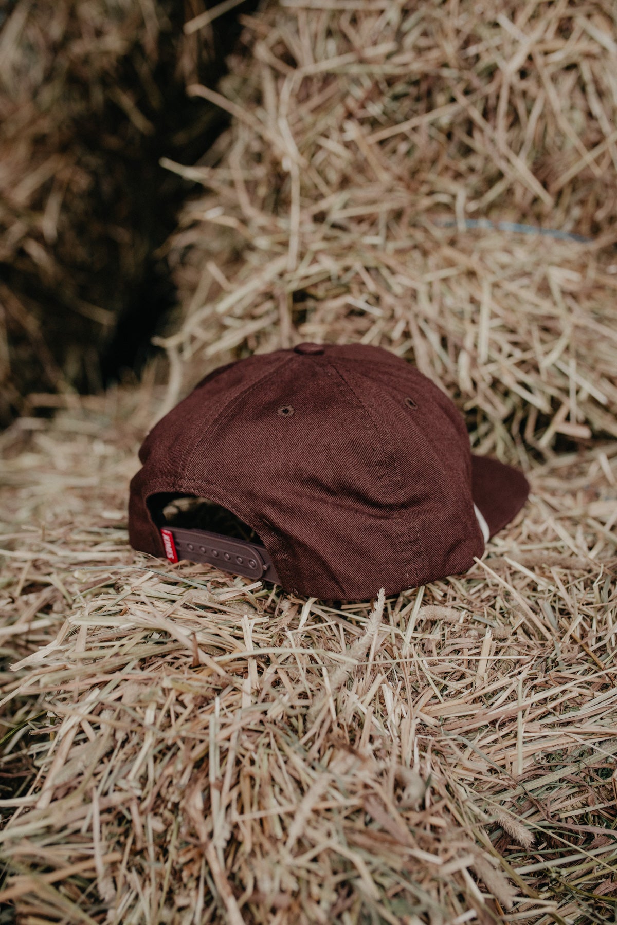 'Kick Back' Kimes Hat (Dark Brown)