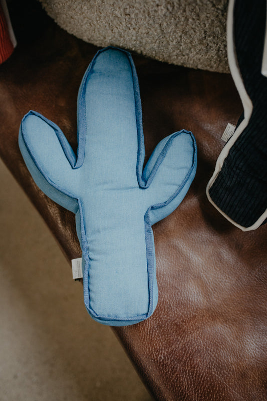 Kick A Cactus Pillow (Multiple Colours)