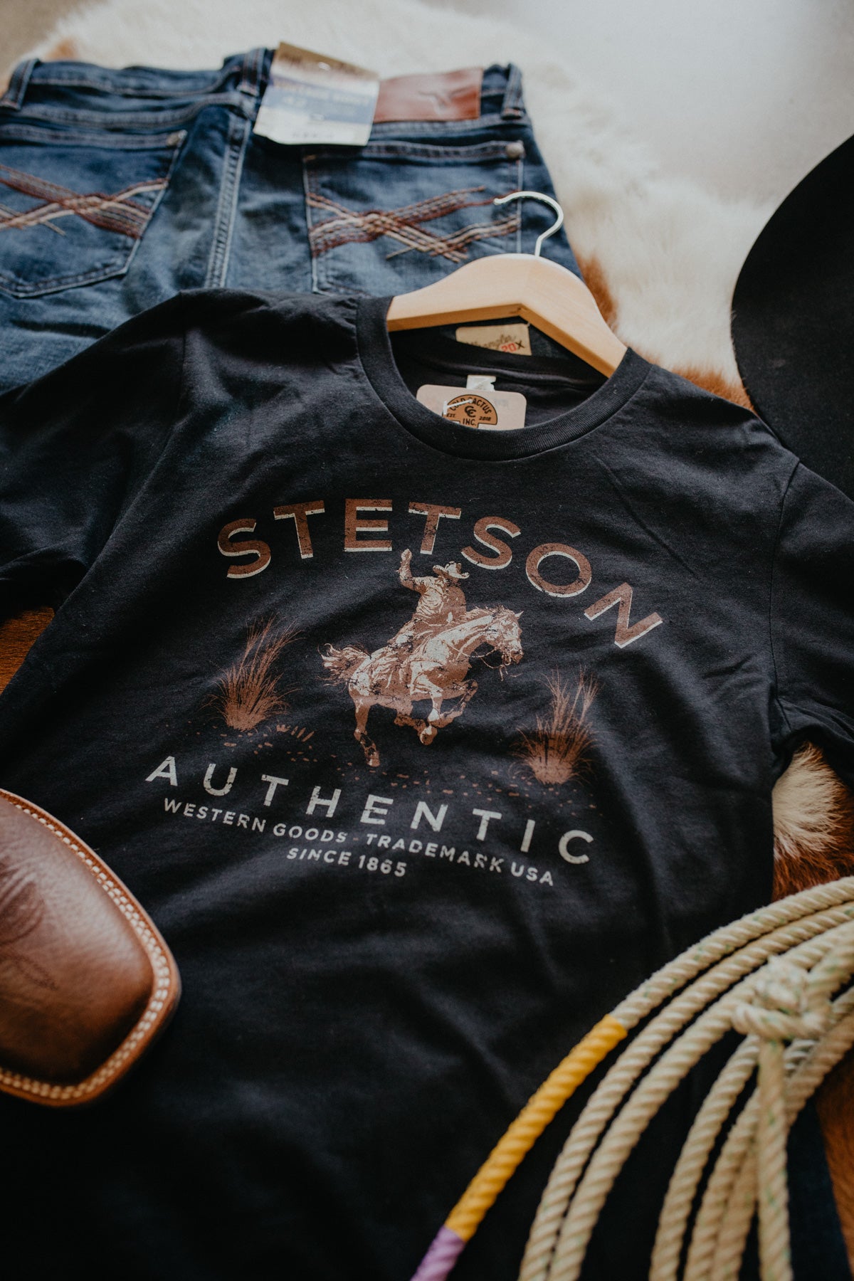 'Bronc n' Horse Scenery' Unisex T-Shirt by Stetson (S - 2XL)