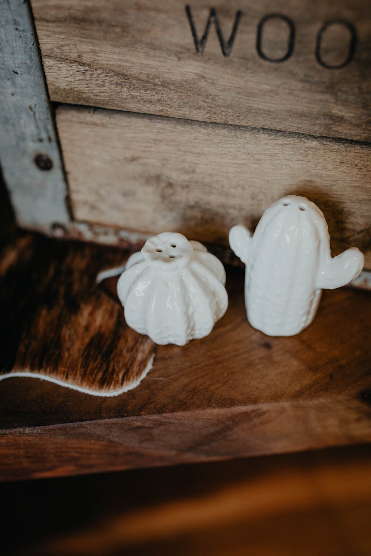 Ceramic Ivory Cactus Salt and Pepper Set