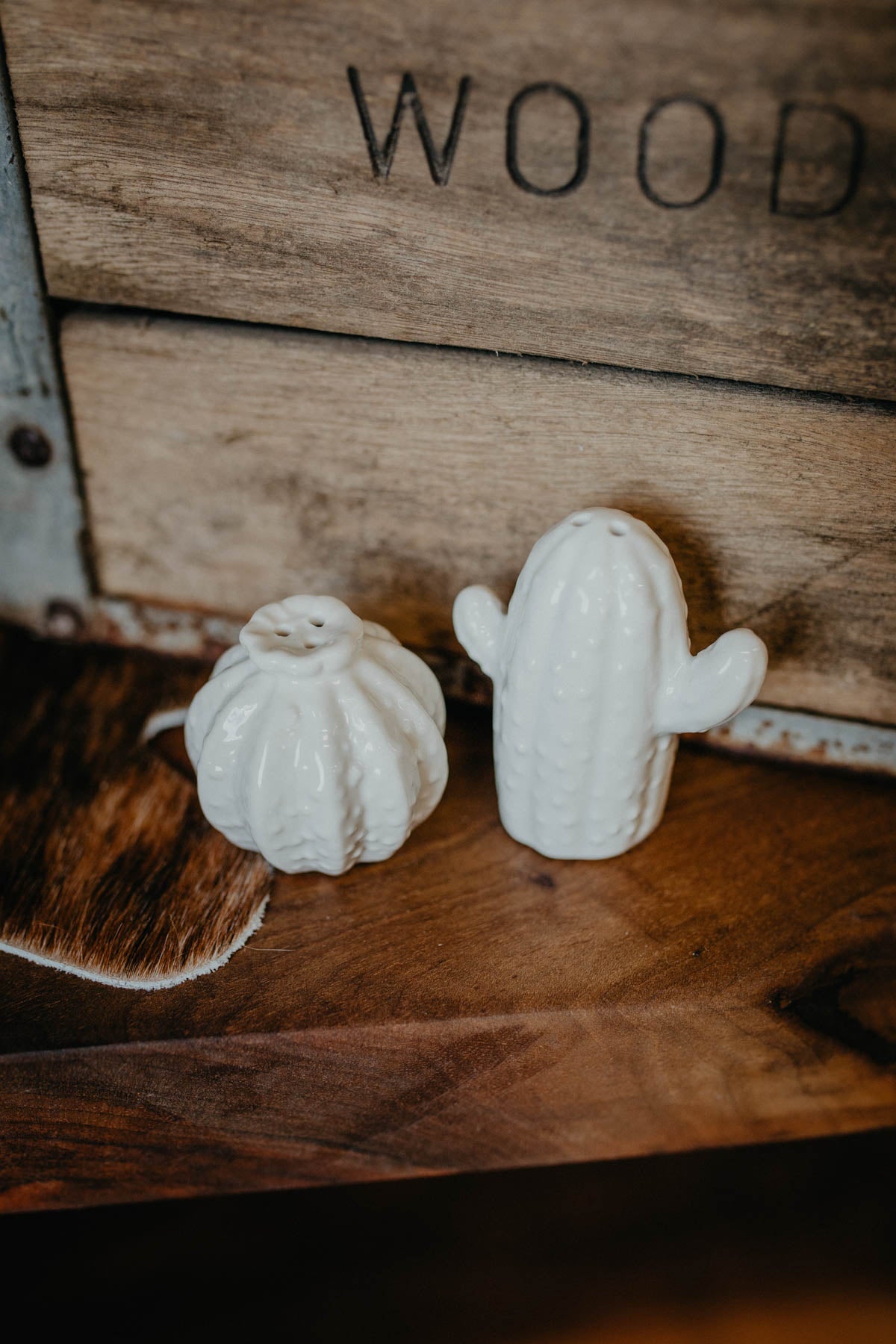 Ceramic Ivory Cactus Salt and Pepper Set