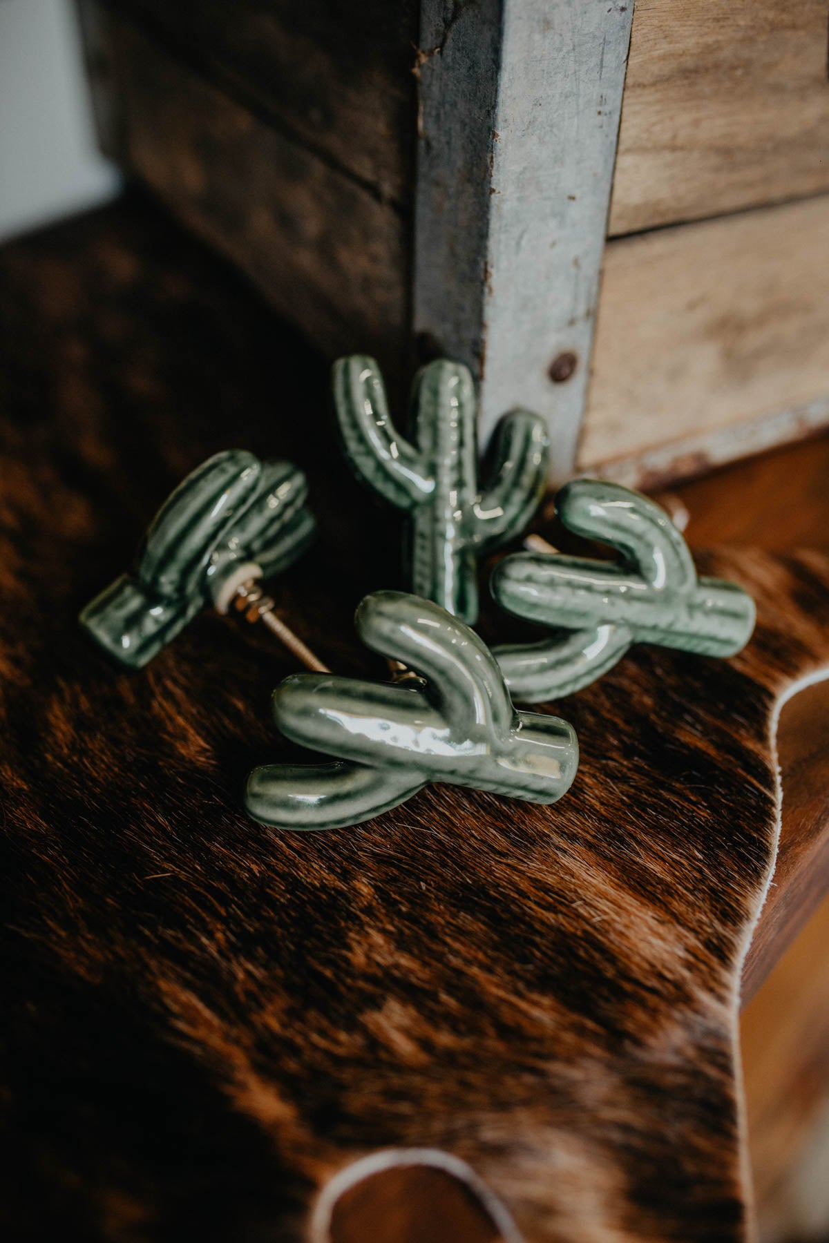 Green Ceramic Cactus Novelty Draw Pull