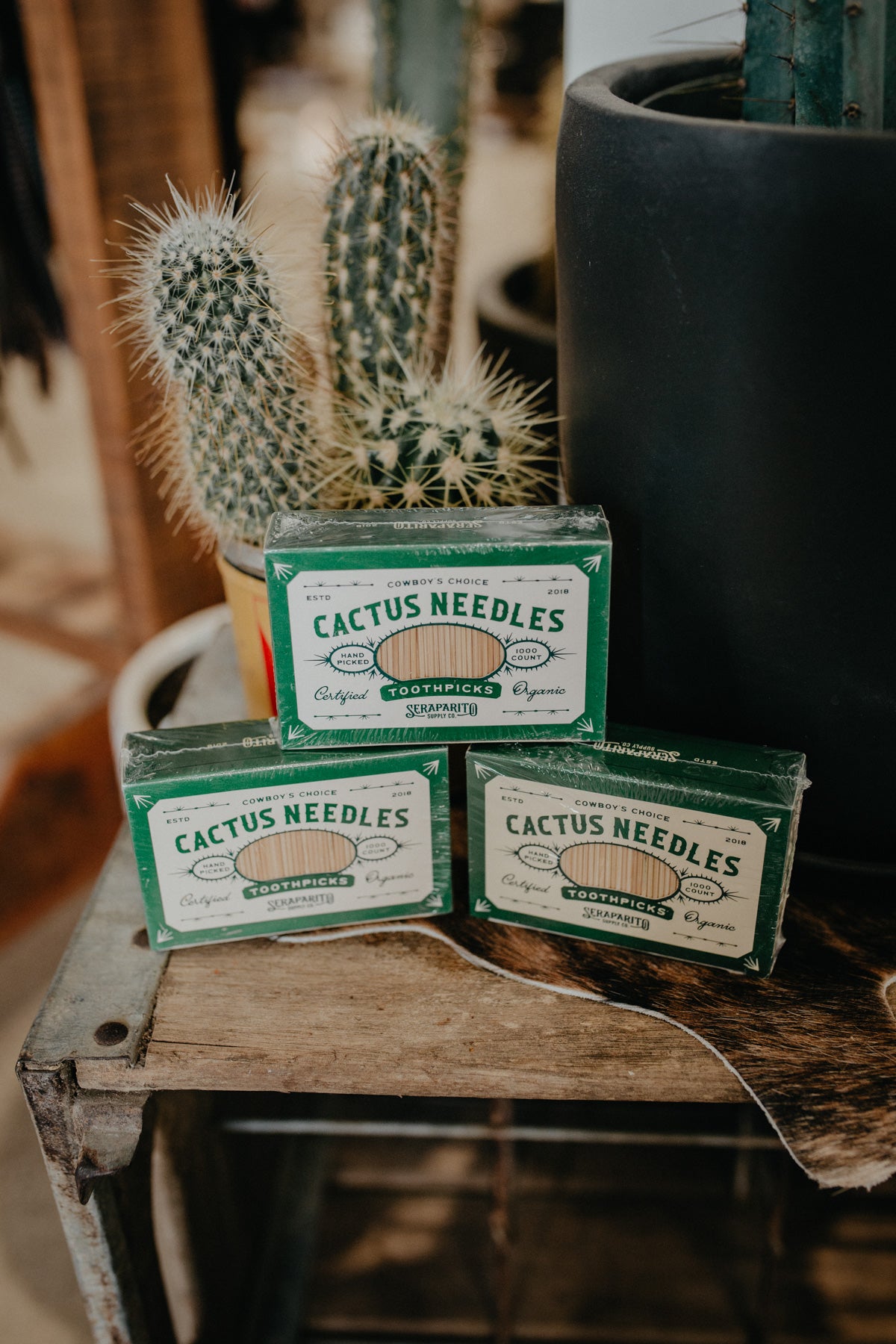 'Cactus Needle' Toothpicks