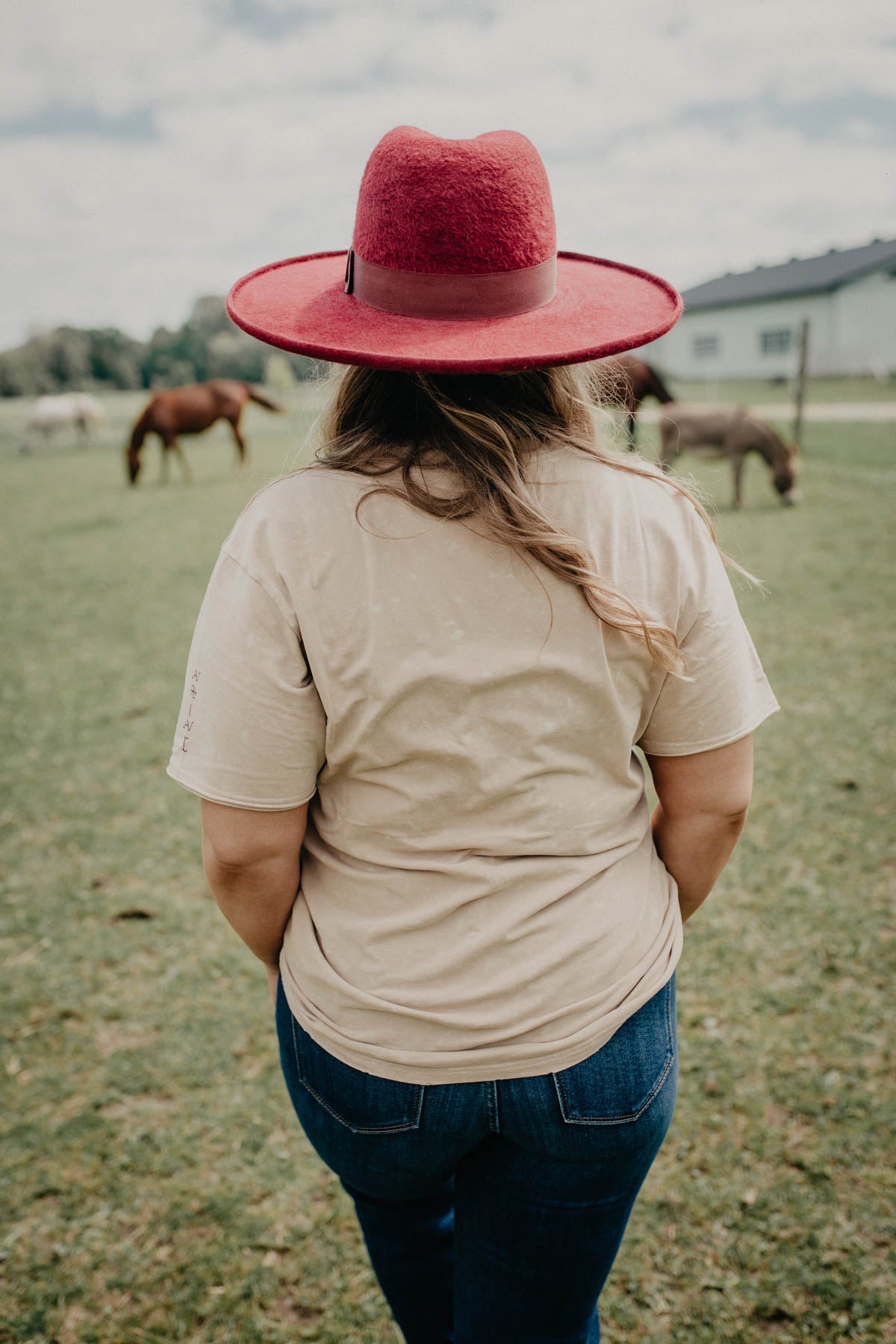 'Burro' Women's Ariat T-Shirt (XS-XXL)